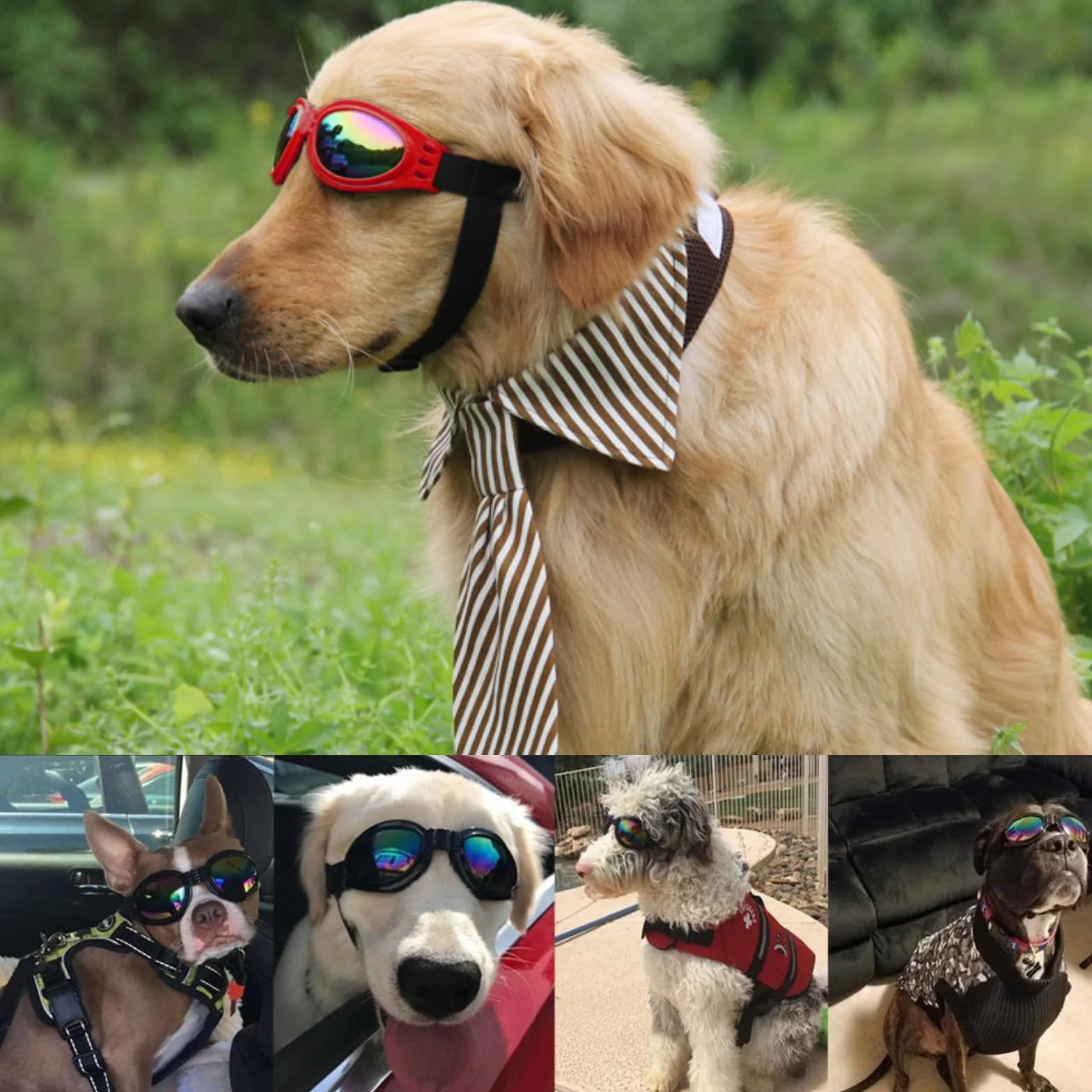 TYXHXTF 2 Pcs Occhiali per Cani, Occhiali da Sole e protettivi per Cani di Taglia Piccola, con Cinturini Regolabili e Pieghevole, Anti UV, Impermeabili, Antivento, Anti Appanamento