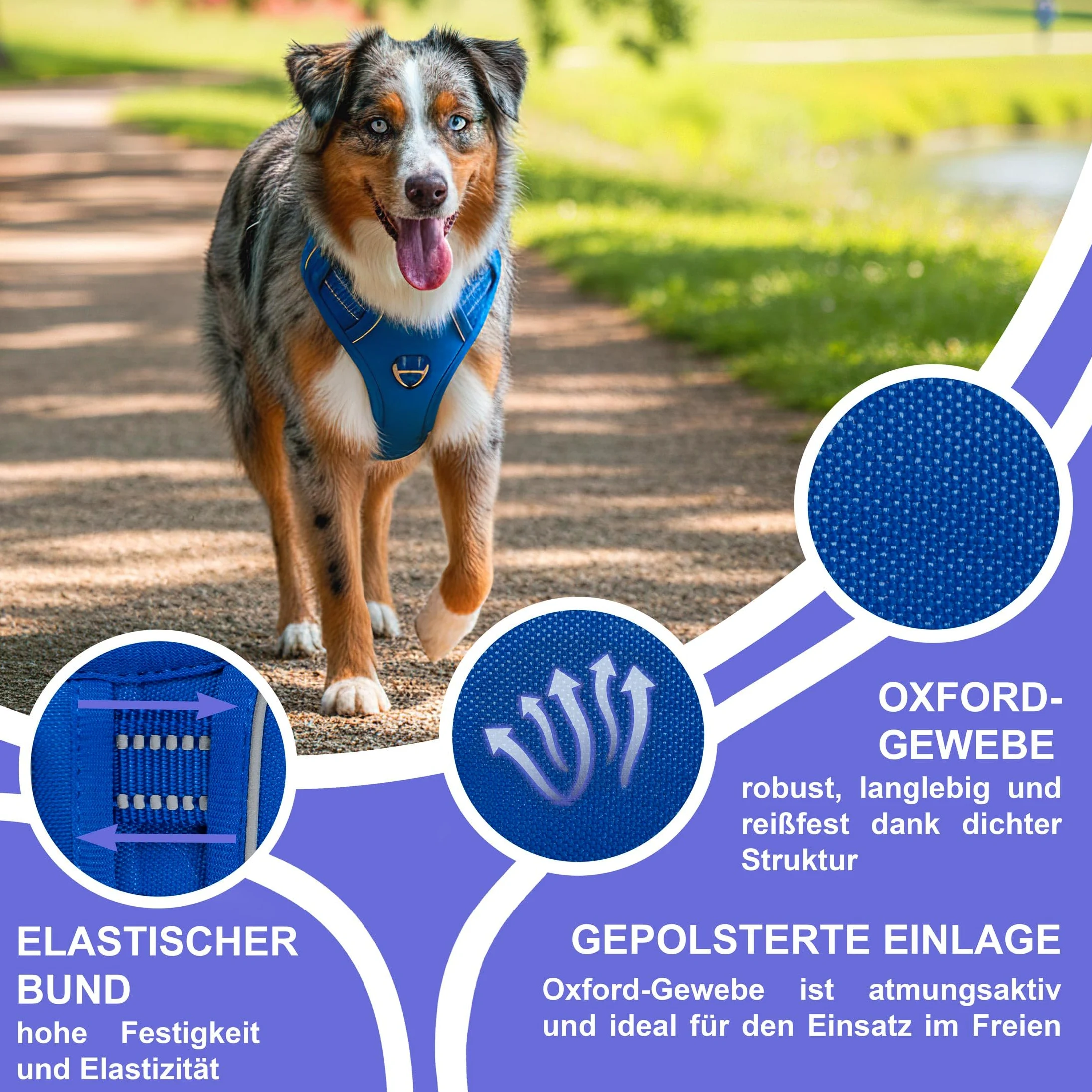 Reichstadt Pets Pettorina Cane Anti-Tiro per Cani Grandi 25RSP083 Blu L | Pettorina regolabile e imbottita con maniglia, inserti riflettenti e tessuto traspirante per passeggiate sicure