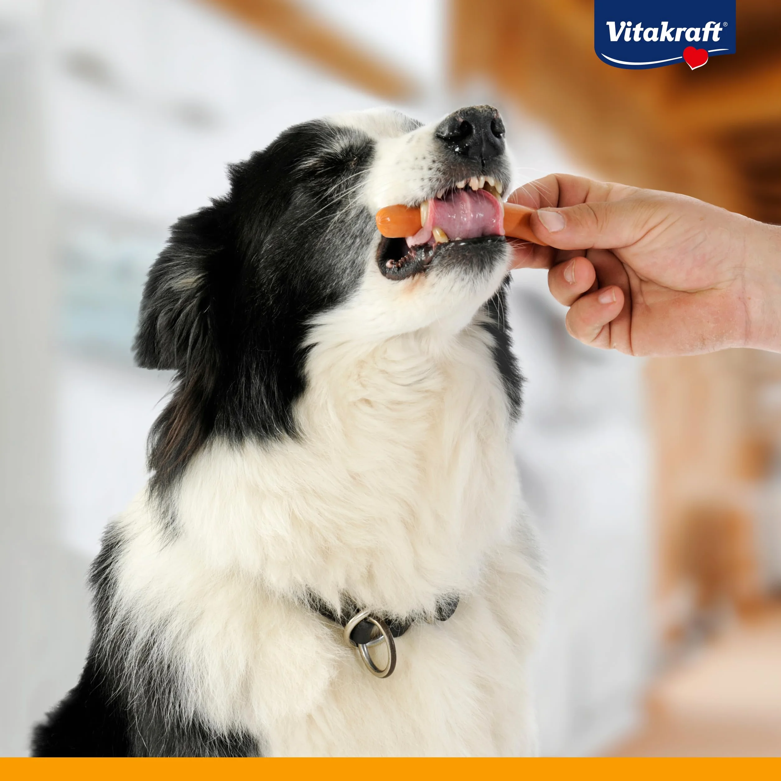 Vitakraft Dog Minis, snack cane, piccoli wurstel con pollame, in barattolo con coperchio, snack per l’addestramento del cane, a ridotto contenuto di spezie, senza zuccheri aggiunti (1x 120g)