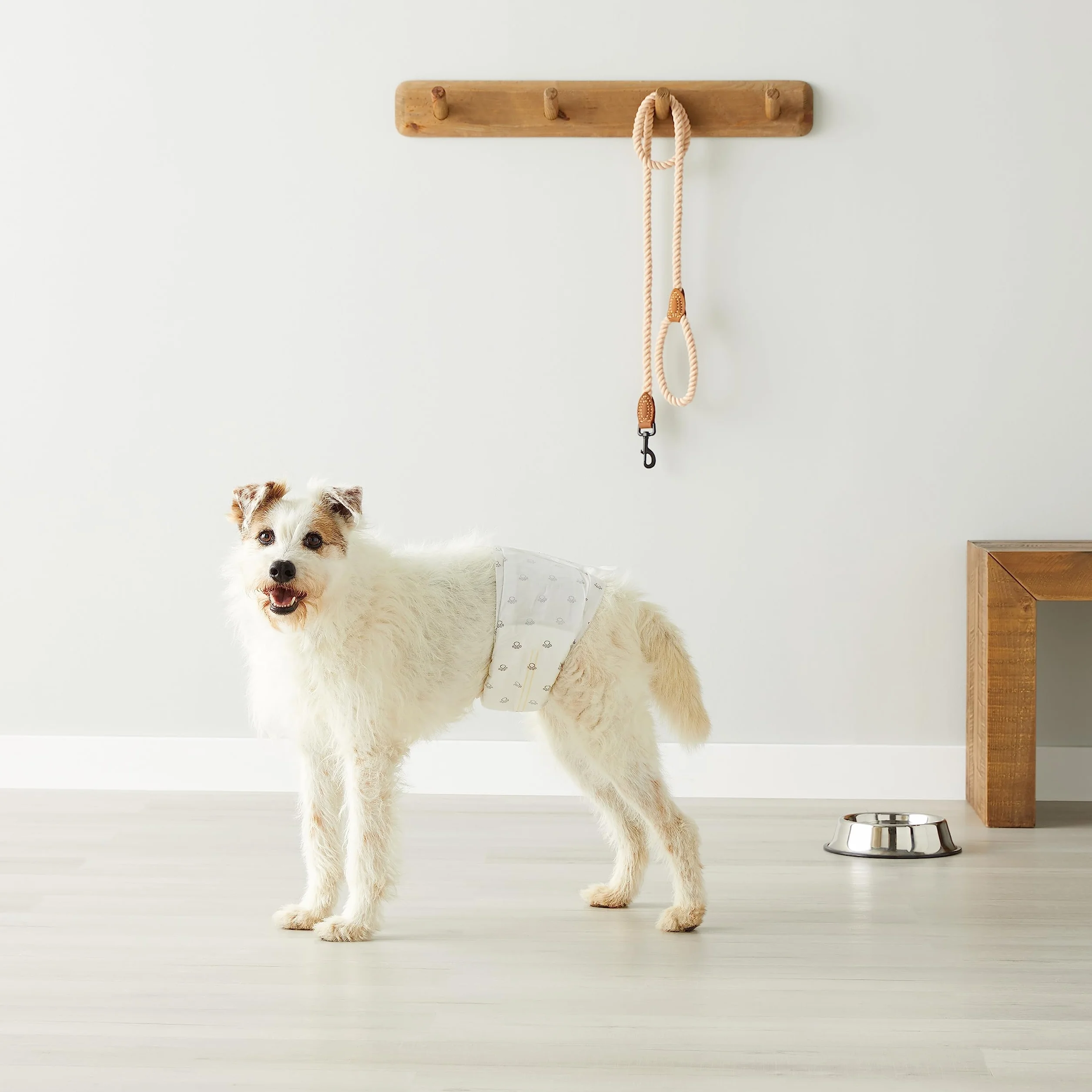 Amazon Basics Pannolini usa e getta per cani maschi, Medio, Bianco, Confezione da 30