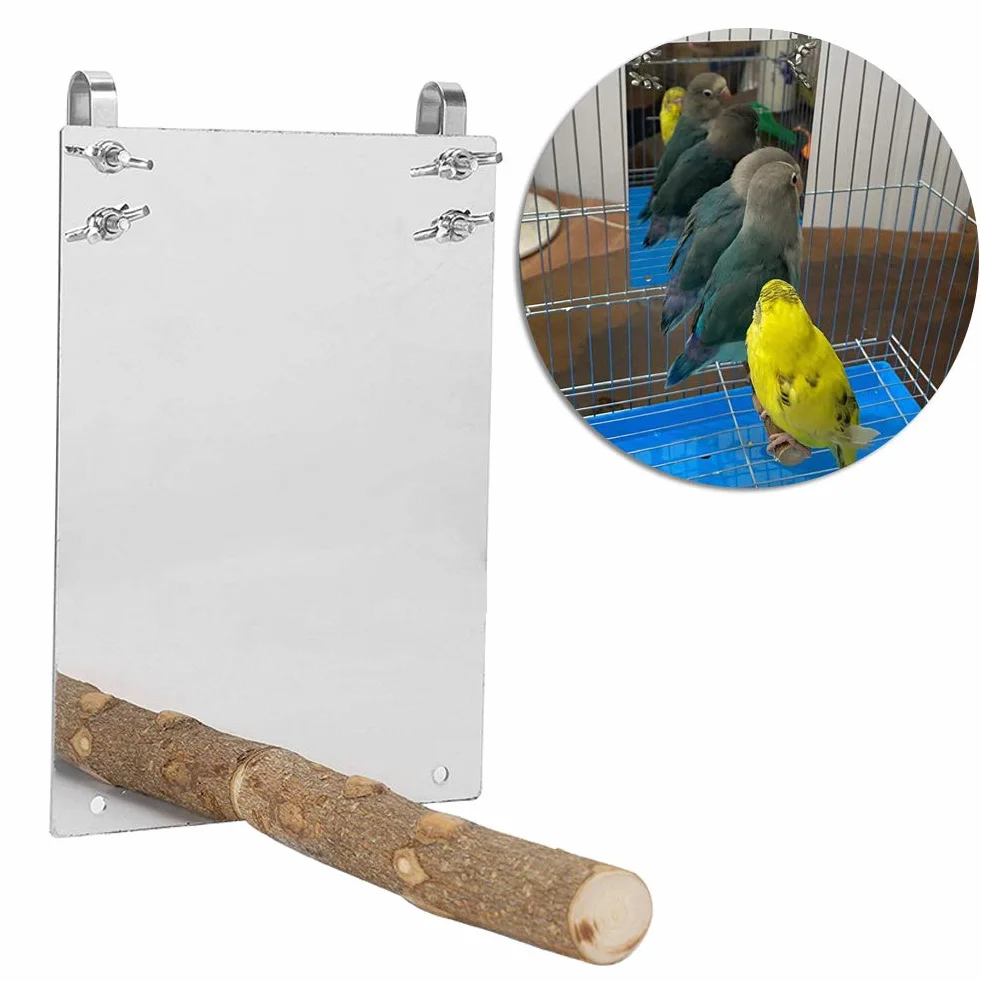 Cryfokt Specchio per Pappagalli Durevole in Acciaio Inossidabile con Asta di Supporto in Legno per Accessorio Gabbia per Uccelli, Attira L'attenzione e Riduce il Tempo Noioso, Ideale per Pappagalli di