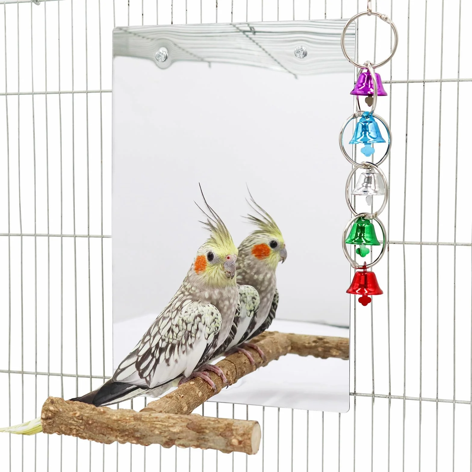 Specchio per Uccelli di Grandi Dimensioni con Posatoio, Specchio per Pappagalli con Campanelli Oscillanti, Accessori per Gabbie, Adatto a Pappagallini, Cacatua, Conuri e Inseparabili - 30 × 20 cm