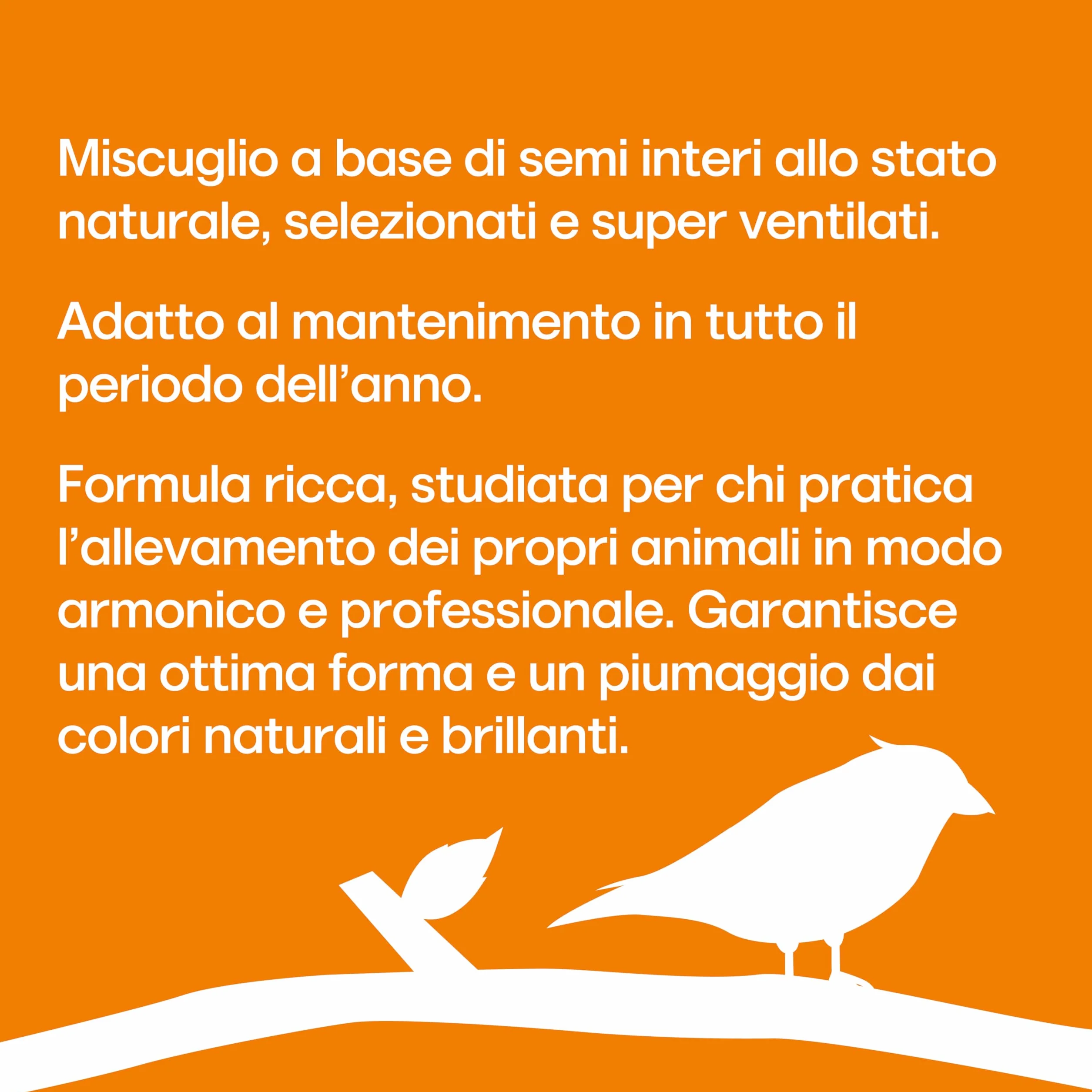 Il Contadino - Antichi Becchimi | MISCUGLIO per PAPPAGALLI Grandi | Formula Ricca di Semi Selezionati Adatta per Tutto L'Anno, No OGM, 100% Vegetale, Assenza di scarti. qualità Superiore (5 kg)