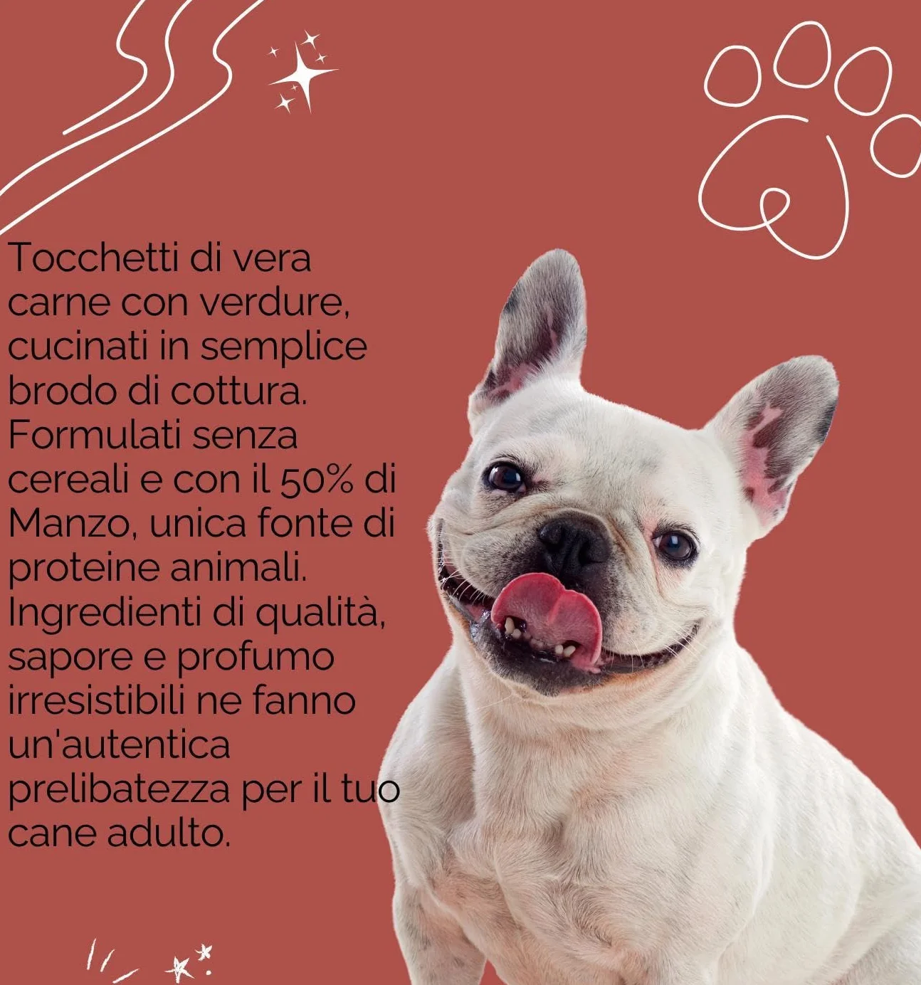 Oasy umido cane adulto grainfree, alimento completo per cani adulti di taglia media e grande (medium) gusto MANZO | 6 scatolette da 400 grammi l’una.