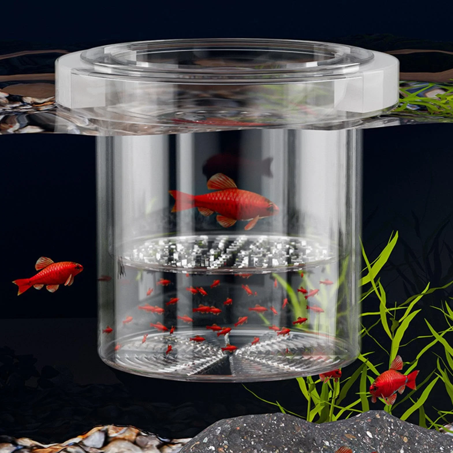 Scatola per allevamento di pesci per acquario, separatore di pesci per acquario, divisore sicuro per vivaio di acclimatazione Guppy gamberetti Betta Fry Hatchery