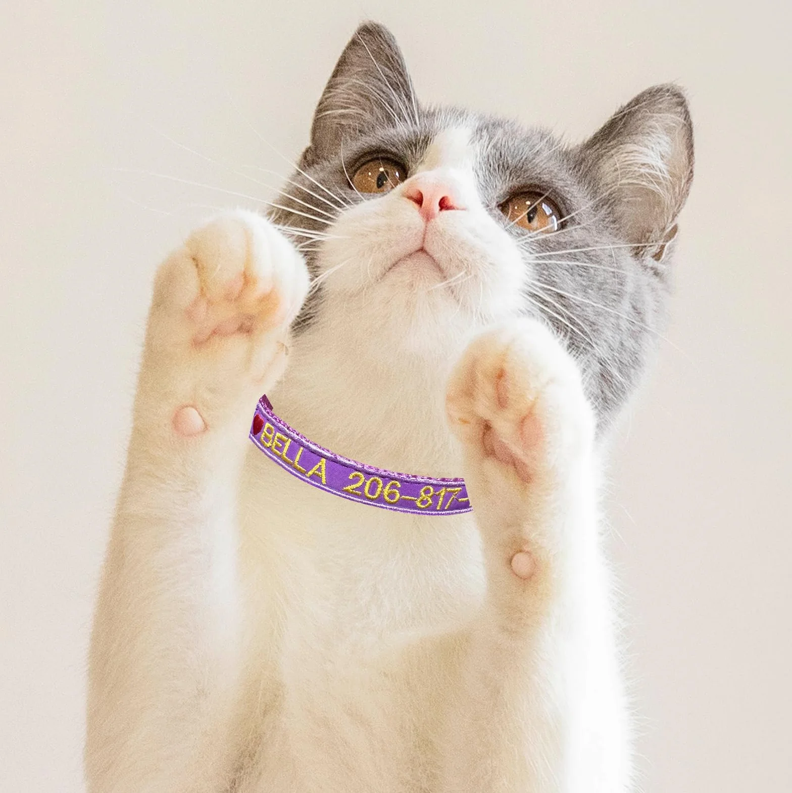 2 Pezzi Collare per gatti personalizzato, collari per gatti identificativi ricamati con nome e numero di telefono, collare in nylon per fibbia di rilascio di sicurezza con campanello