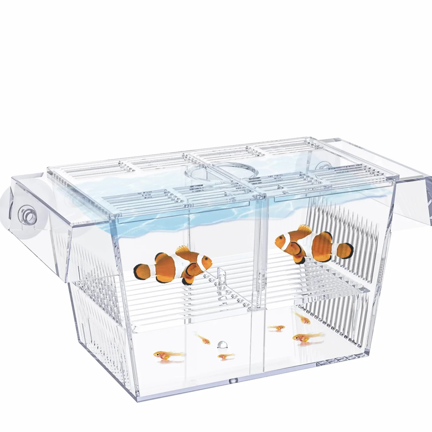 Pawfly Acquario Box per Allevamento Pesci Incubatrice Acrilica Serbatoio con Ventose Medio Box di Isolamento per Avannotti Gamberetti Betta e Guppy