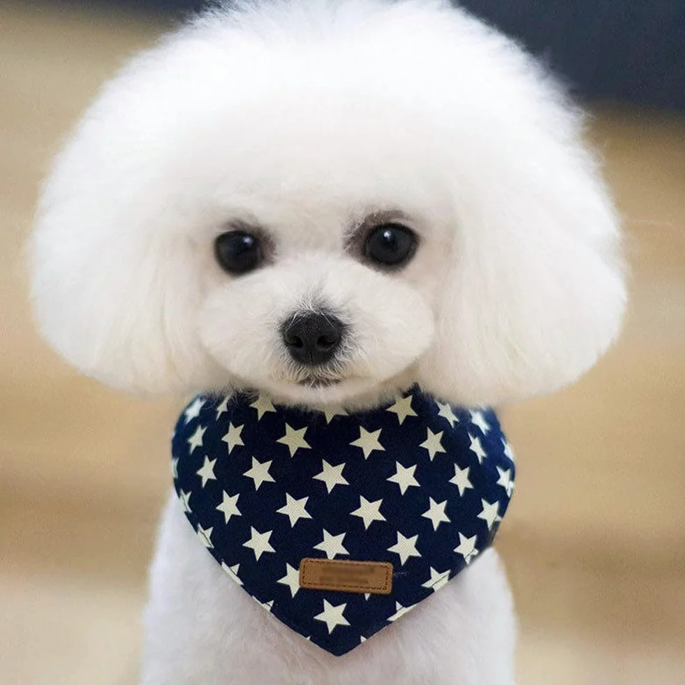 Bandana per Gatto con Motivo Stelle Sciarpa Triangolare Cucciolo Collare Regolabile Bavaglino