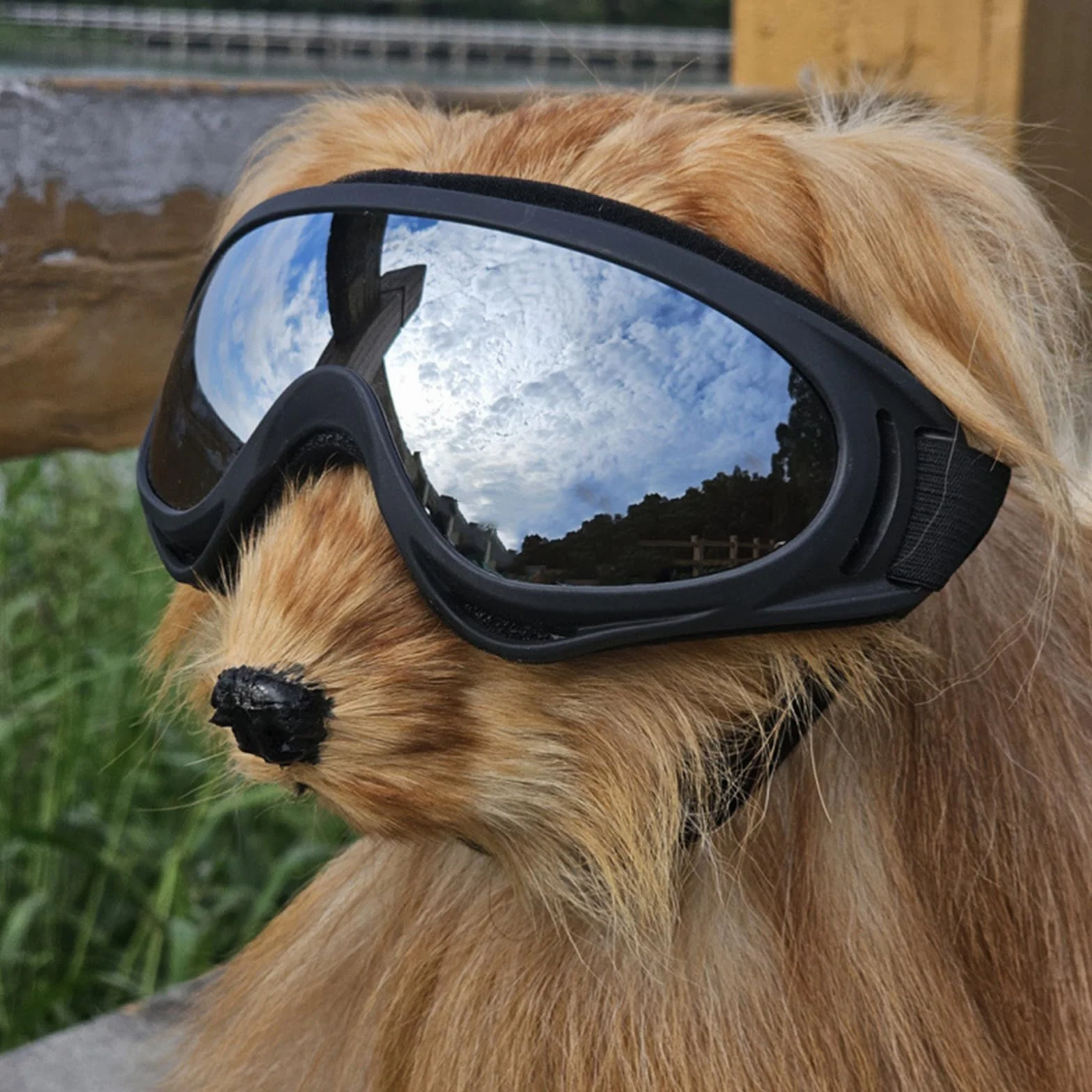 2Pezzi Occhiali per Cani, Occhiali Cane, Protezione UV Occhiali da Sole Cane, Antivento Occhiali da Sole per Cani di Taglia Media o Grande Attività all'Aperto, Guida, Arrampicata(Nero,Argento)