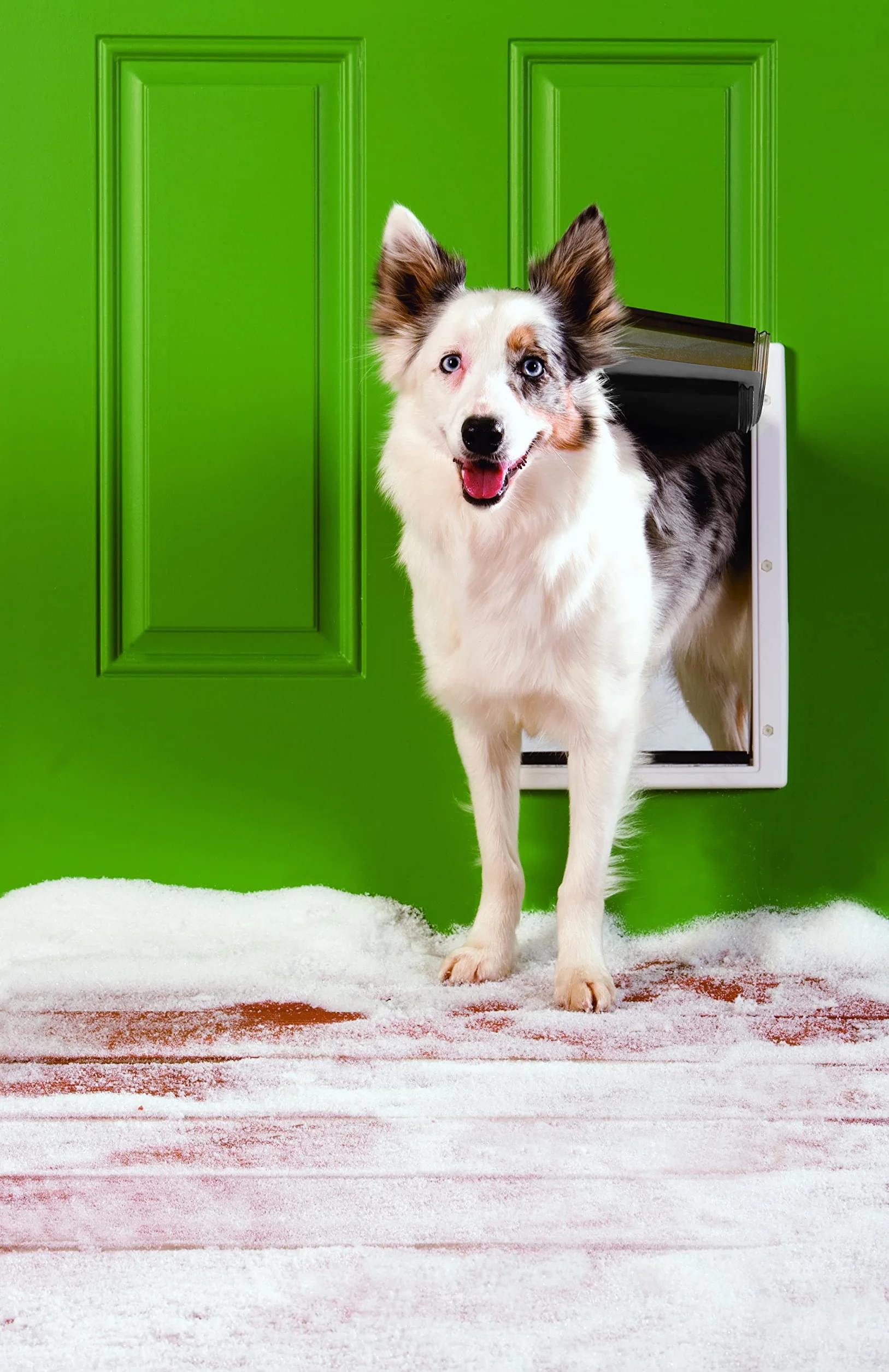 PetSafe Gattaiola per Condizioni Meteo Estreme in Plastica ad Alta Efficienza Energetica per Cani e Gatti - Sistema Flap Isolato - Telaio Resistente, Media (M)