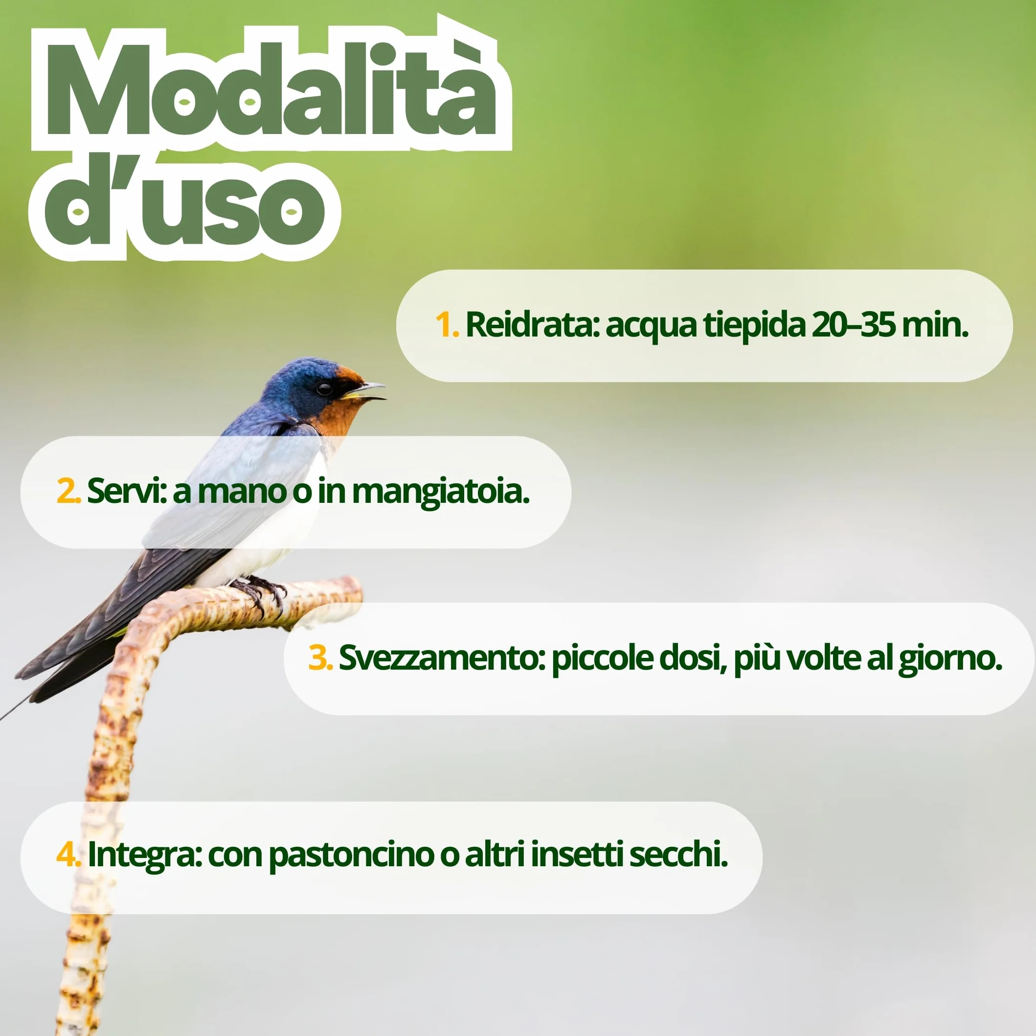 Grilli Liofilizzati 500ml Mangime Uccelli Selvatici Rondini Rondoni Balestrucci Insettivori