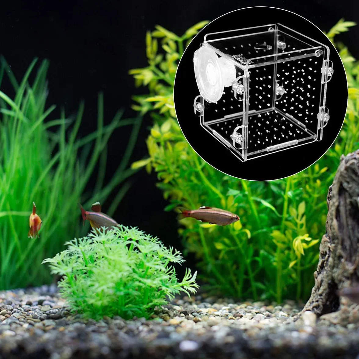 Scatola di Allevamento di Pesci Scatola di Isolamento per Acquario in Acrilico Trasparente con Ventosa Appendere Pesci gamberetti incubatoio per Acquario