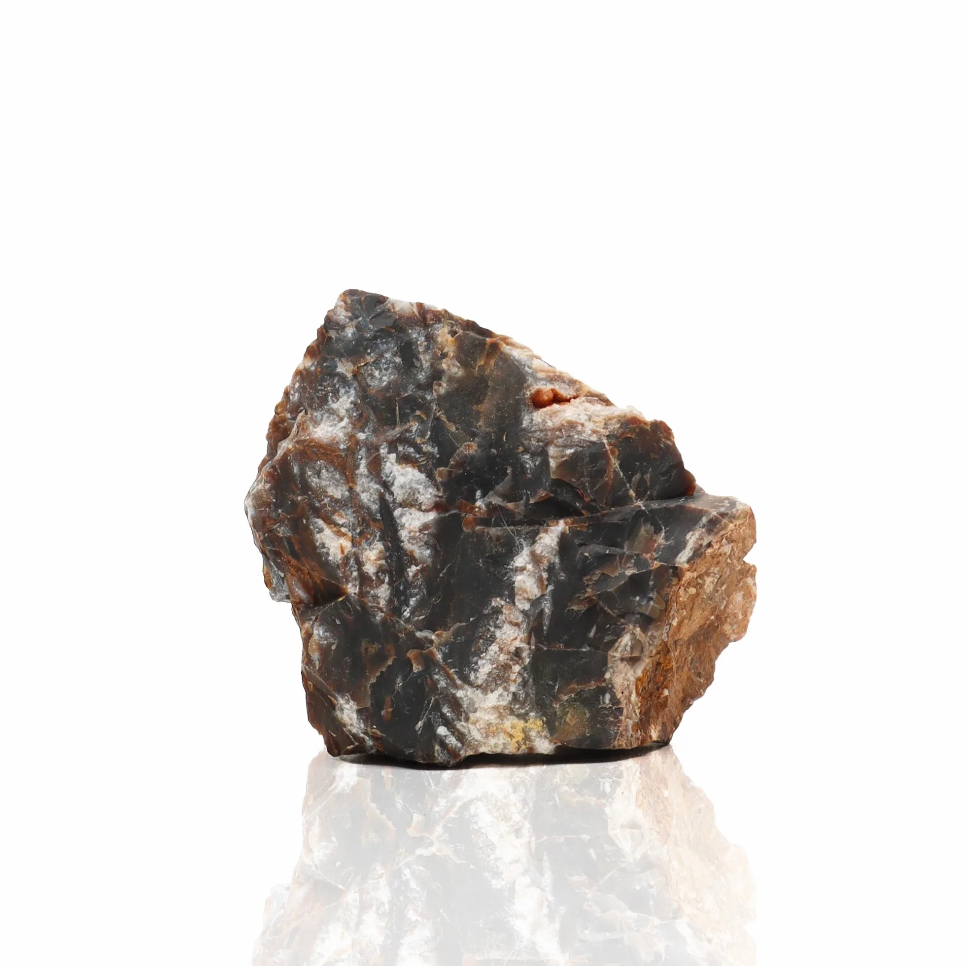 Amtra - Roccia Petrified, decorazione per acquario, naturale, non calcarea, 1 KG