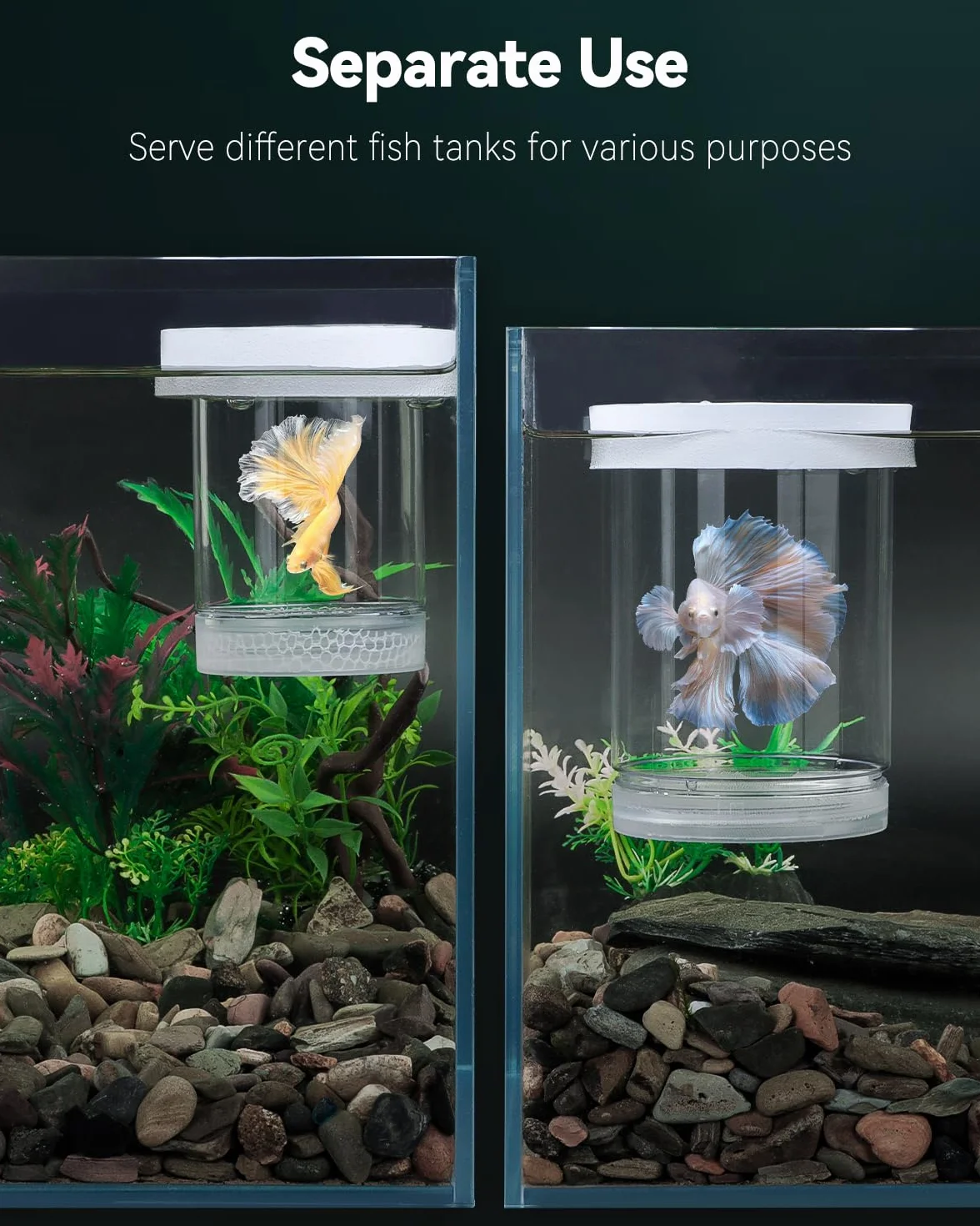 Pawfly Scatola per Riproduzione per Acquario, Box Galleggiante per Guppy, Separatore per Avannotti, Incubatrice in Plastica per Gamberetti, Betta e Pesce Pagliaccio, Medio