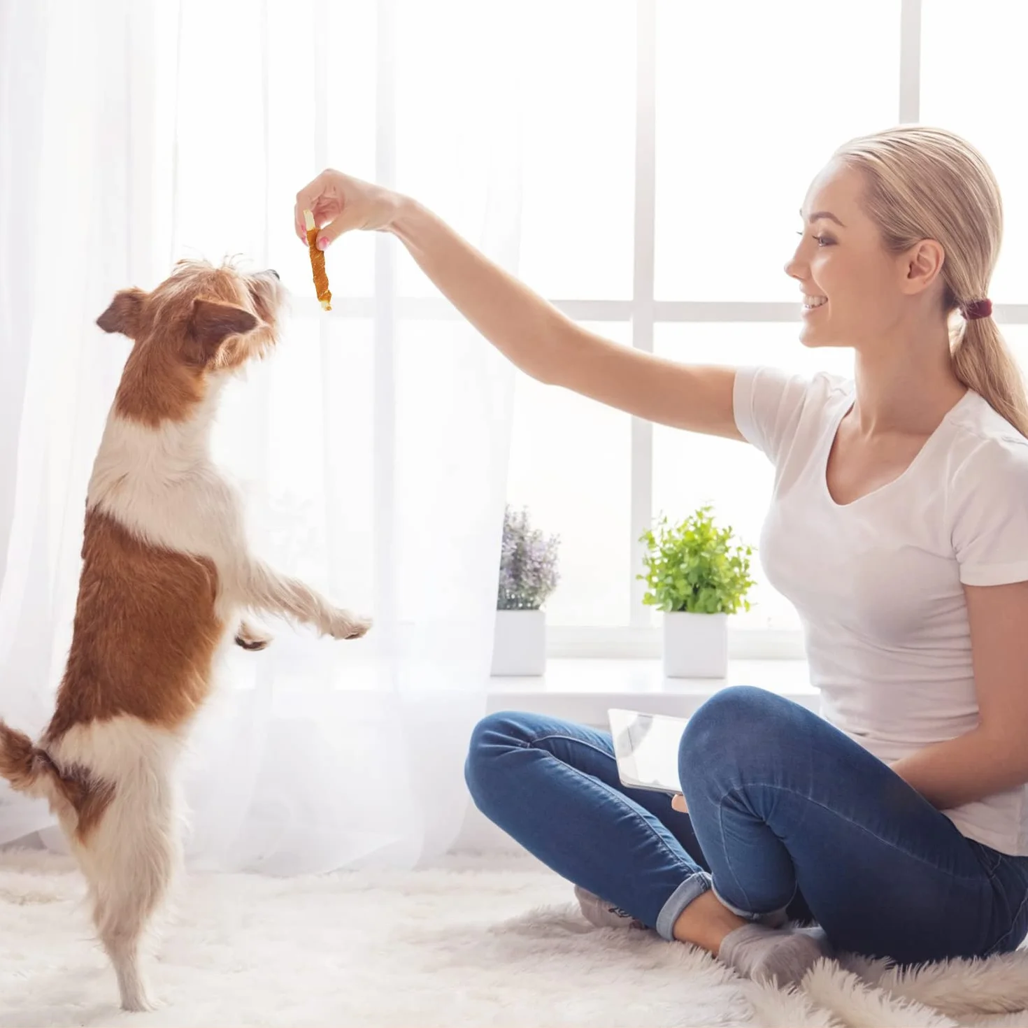 Nobleza - Snack per Cani, Bastoncini Masticabili con Carne e Merluzzo di Pollo, Snack Naturale per Cuccioli di Cane, L10 cm, 6 Confezioni x 80 g