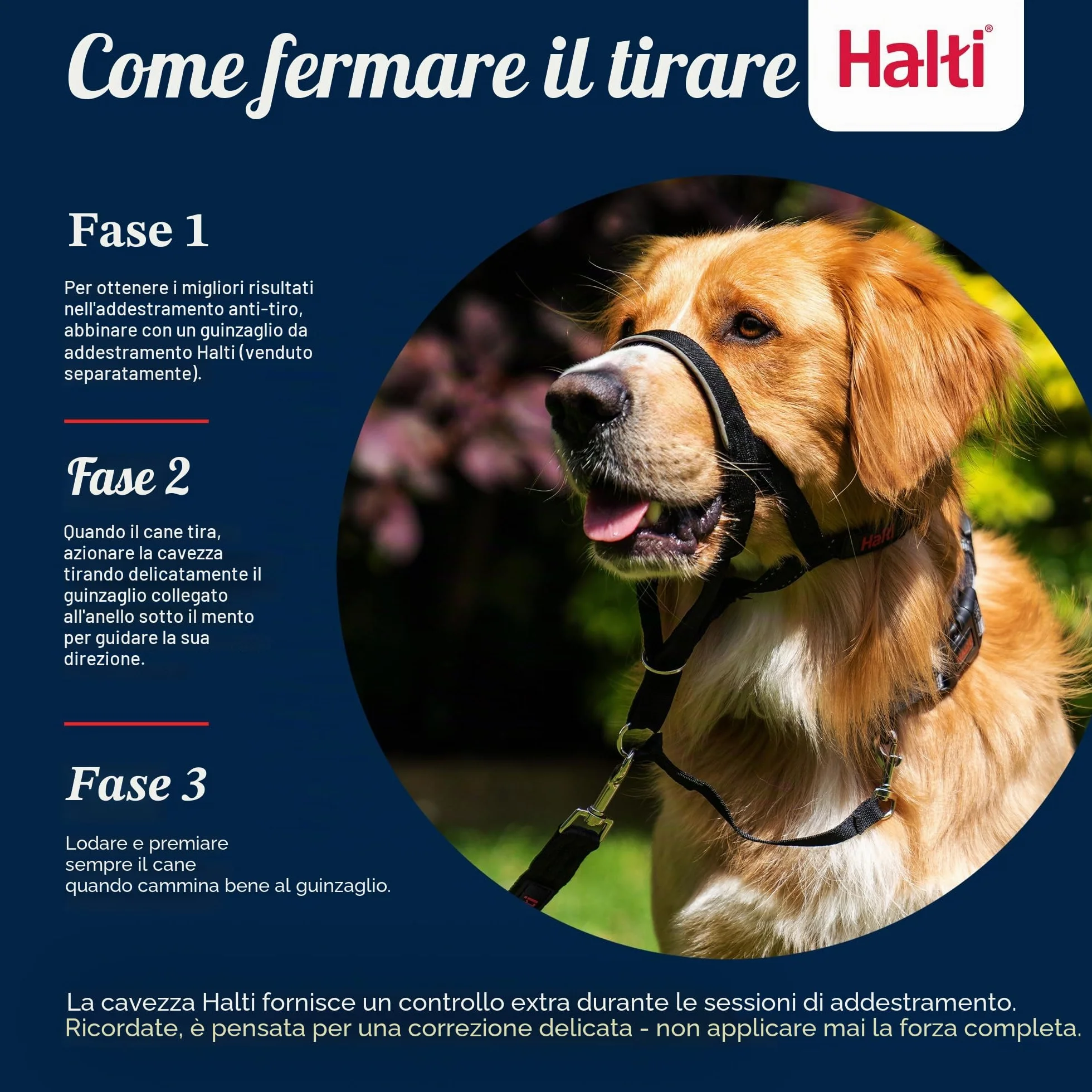 HALTI - Collare a cavezza Per impedire che il cane tiri il guinzaglio, regolabile, leggero, con fascia per il muso imbottita, collareanti-trazione per l’addestramento di cani medi (Taglia 3, Nero)