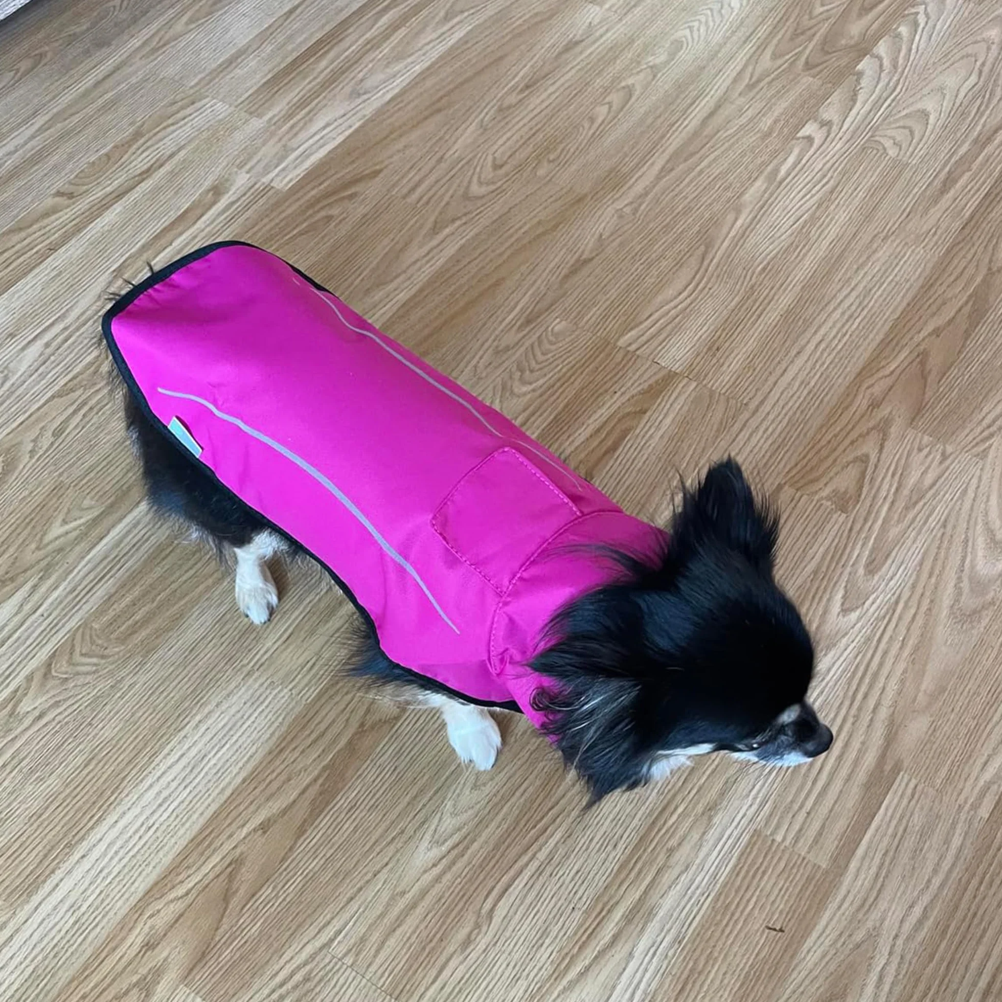 Mile High Life Impermeabile per cani | Abbigliamento per animali domestici regolabile | Giacca antipioggia leggera con striscia riflettente | Chiusura facile da inserire, rosa acceso, media