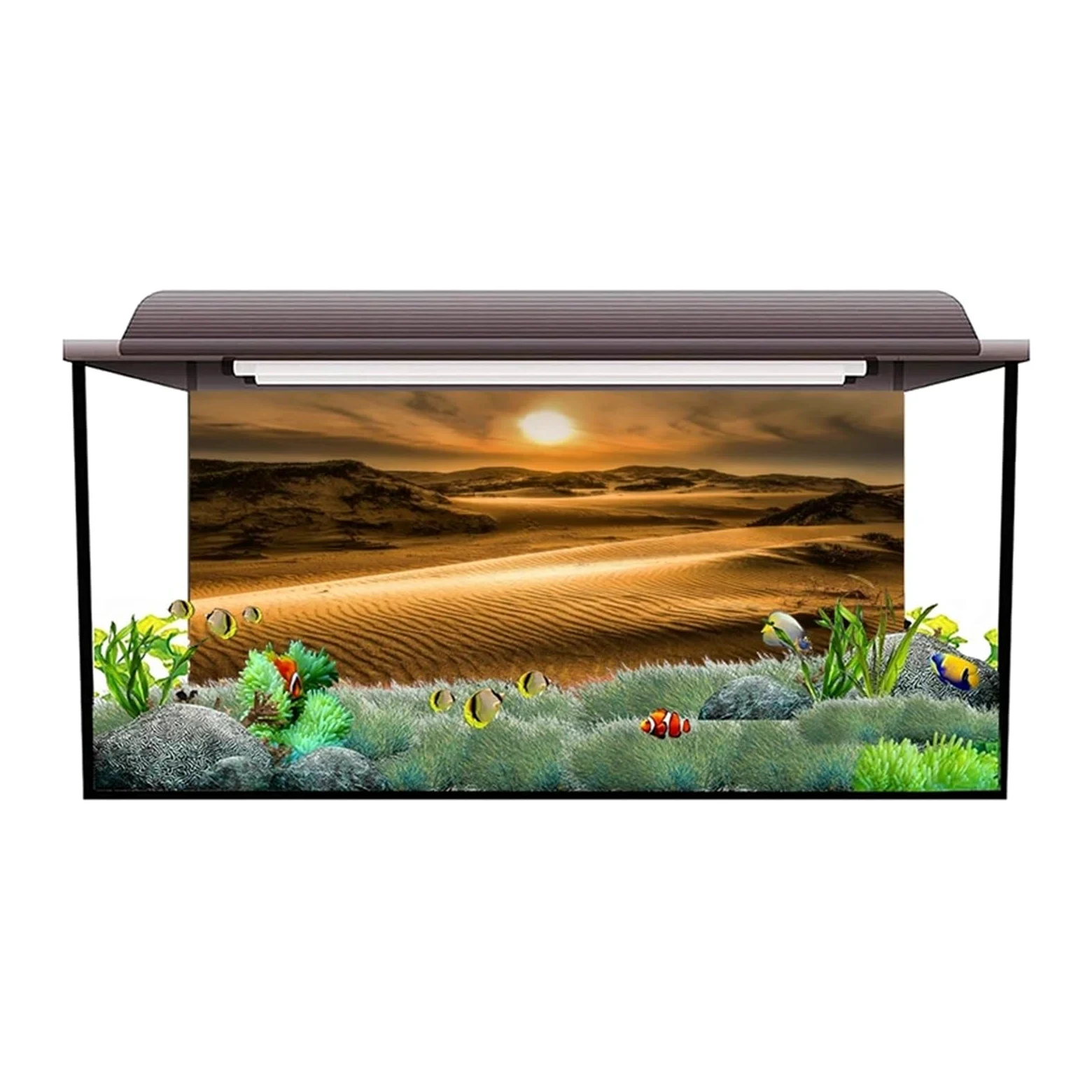 Sfondo Adesivo for Acquario, Sfondo Poster, Decorazione for Acquario nel Deserto, Carta da Parati autoadesiva(50x80cm)