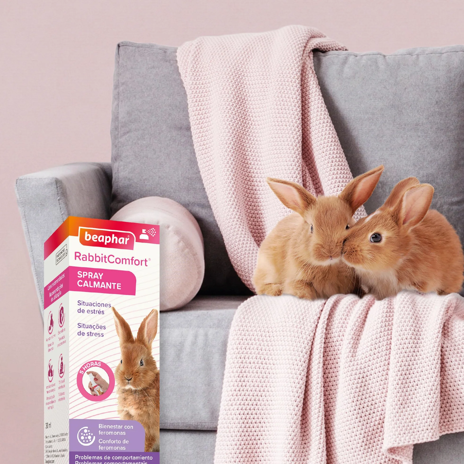 Beaphar - RabbitComfort® Spray calmante - Riduce l'ansia e lo stress in aree mirate - Per l'uso in casa o in gabbie - Azione rapida - Inizia a lavorare in 15 minuti - 30ml