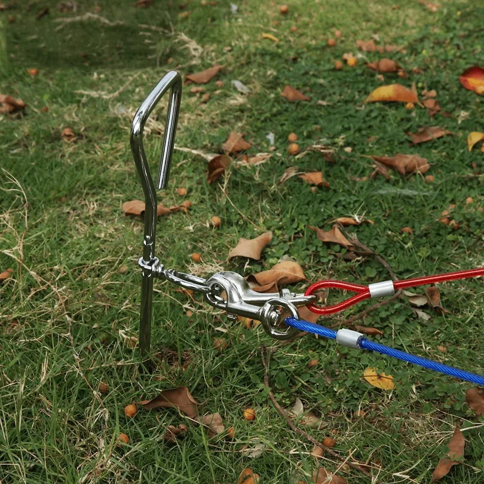 5m Guinzaglio per Cane，doppia testa Guinzaglio，per Esterno Come Cortile E Campeggio（blu）.