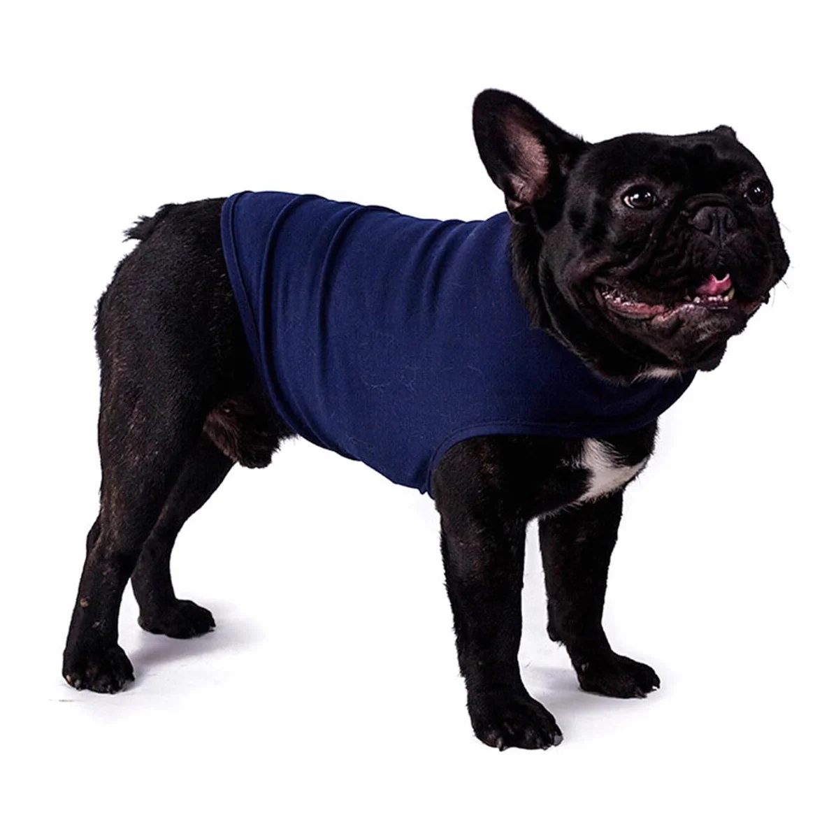 Haokaini Giacca per Cani Anti-Ansia Cappotto Calmante Camicia Antistress Giubbotto Caldo (Grigio Chiaro)