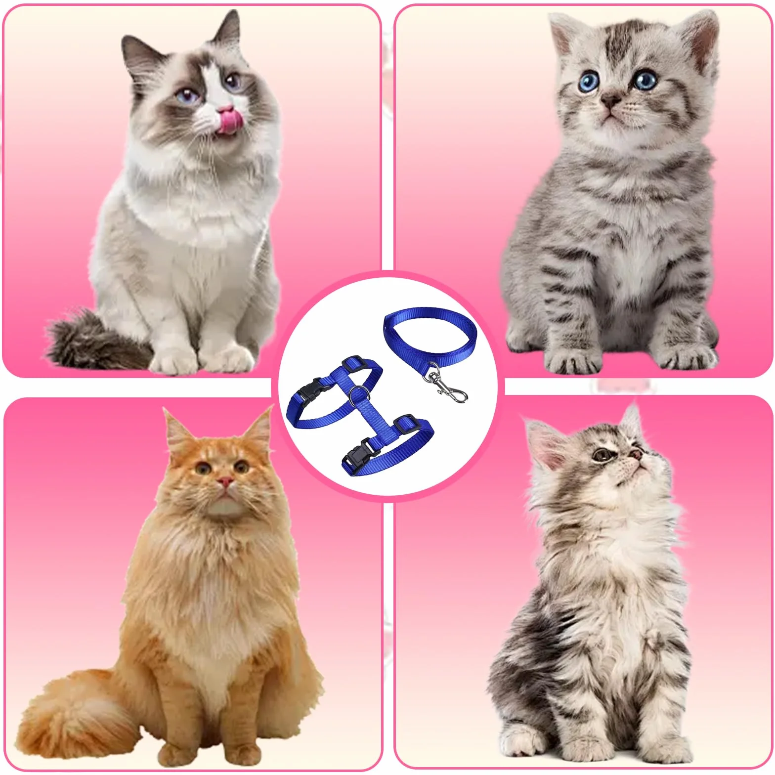 Pettorina per Gatti con Guinzaglio,Guinzaglio per Gatti Cordino Comodo Allungabile Regolabile Imbragatura,Corda di sicurezza per gatti e gattini,blu