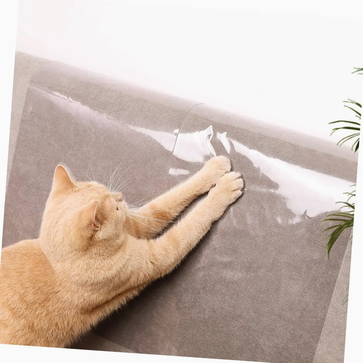 VANZACK 20pezzi Cat Scratch Couch Patch Protezione AntiGraffio per Divano e Mobili Pellicola Adesiva Trasparente per Cat Scratch