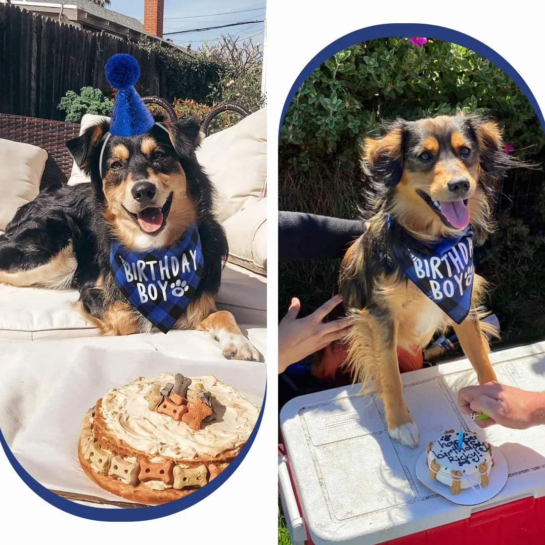 Set Compleanno Cane 3 Pezzi Bandana Cappello 8 Numeri Bling Adesivi Regalo Decorazioni Blu