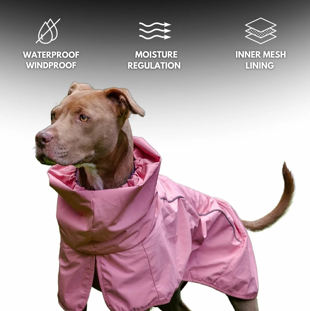 Spark Paws Impermeabile per cani, impermeabile antivento, per cani di taglia piccola, media, grande, extra large, riflettente, traspirante, copertura integrale - rosa mare, 3XL