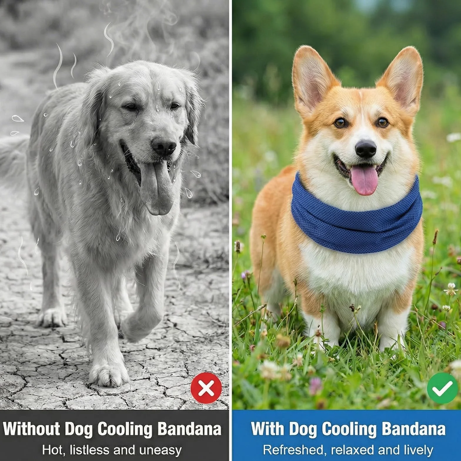 Bandana Rinfrescante per Cani, Collare Raffreddamento Estate 55x16 cm