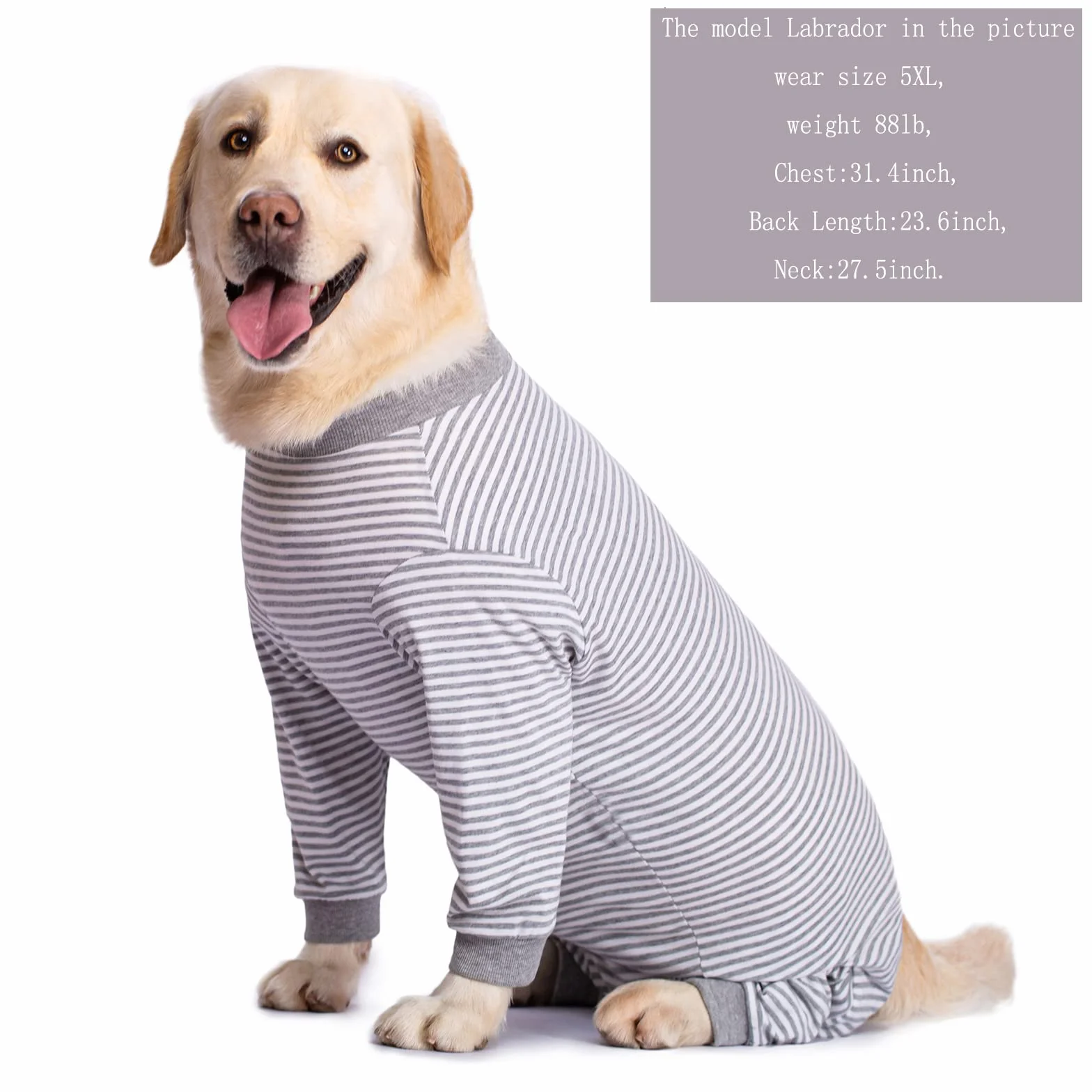 Tutina per Cani di Taglia Grande e Media Anti-Perdita Protezione Ferite 4XL Grigio