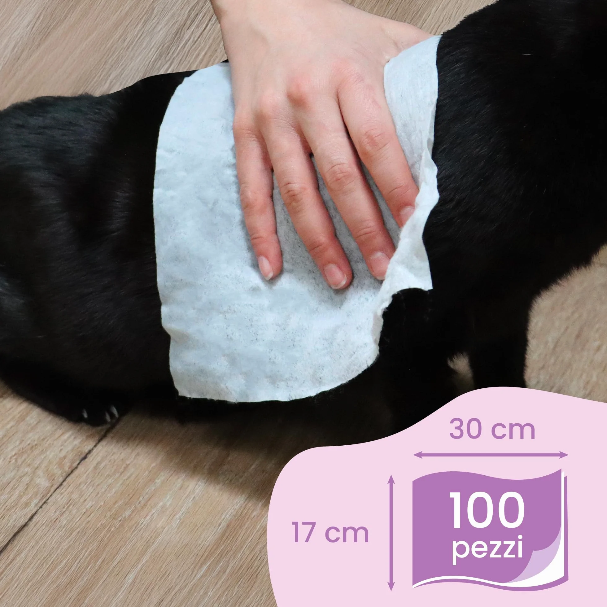 CAMON Salviette Detergenti per Cani e Gatti 30x17 cm 100 Pezzi Fragranza Latte e Miele Senza Alcool né Parabeni Made in Italy