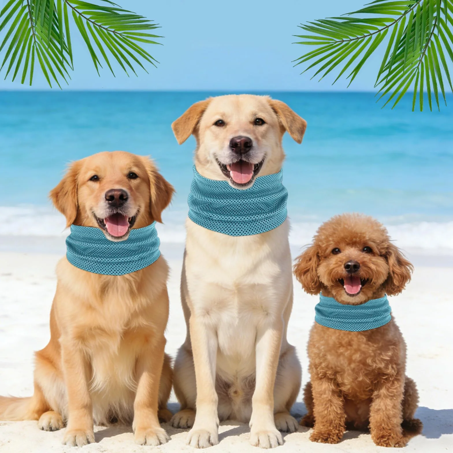 Collare di Raffreddamento per Cani Refrigerante Blu L