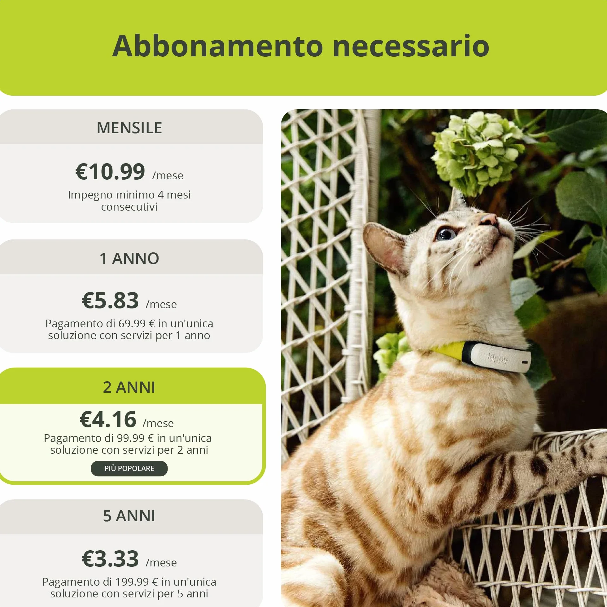 Kippy Cat V2 - Collare GPS per Gatti - Localizzatore e Tracker di Salute e Attività con Sistema Antistrozzo - Crea Confini Virtuali