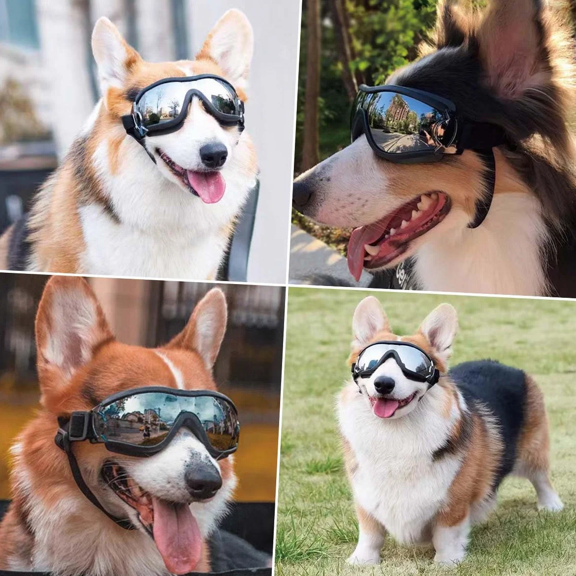 Occhiali da sole per cani medi e grandi, trasparenti con cinghia regolabile, antivento, antipolvere e neve, protezione per animali domestici