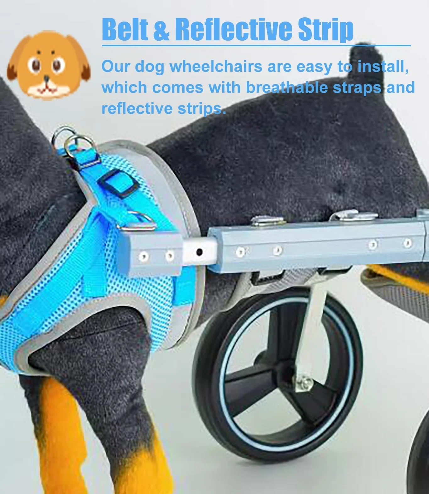 Carrello Cani Disabili Carrozzina per Cani a 2 Ruote per Zampe Posteriori, Ausilio Leggero per la Mobilità Dei Cani per Zampe Posteriori, Carrello di Supporto per L'addestramento Alla Riabilitazione(S