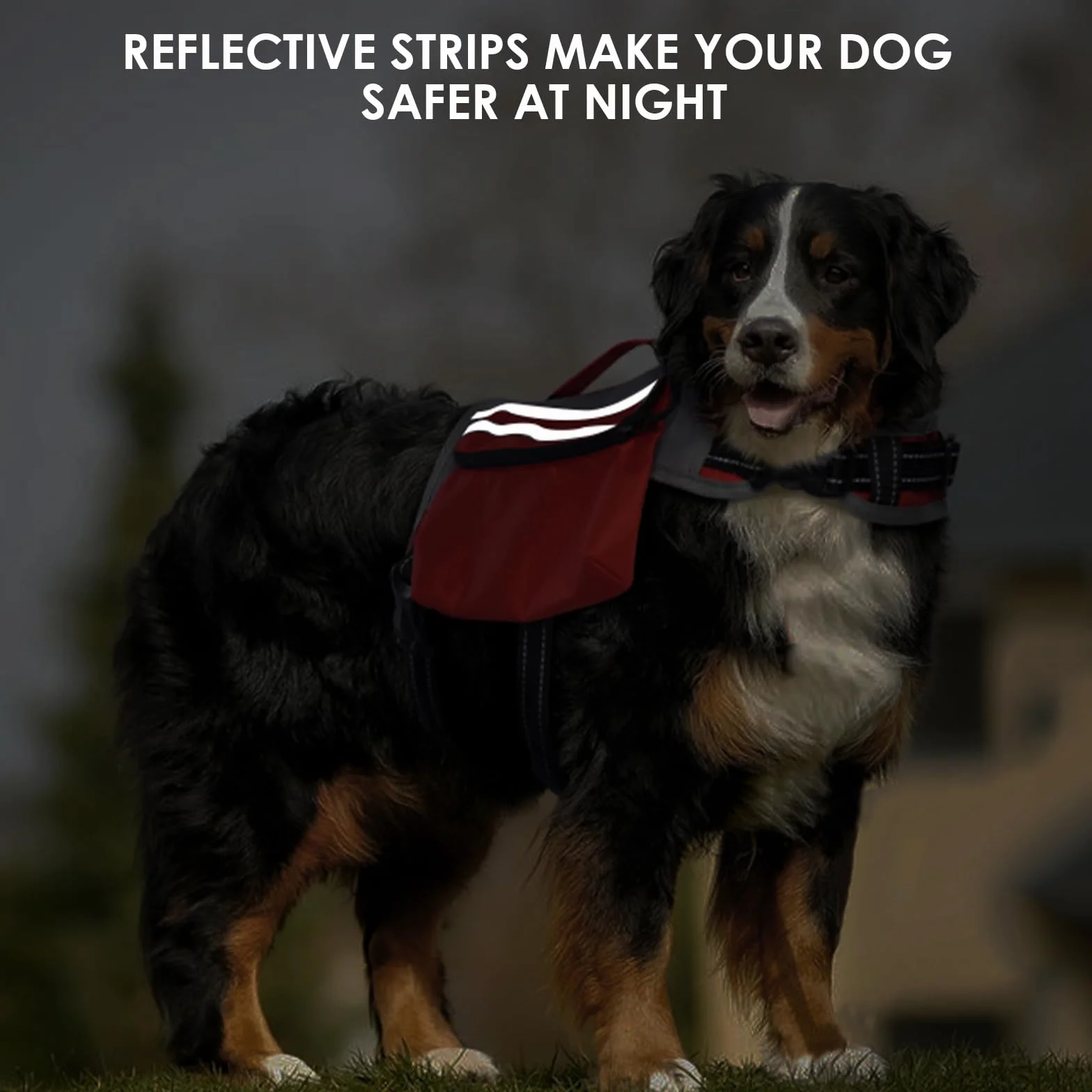 DENTRUN Zaino per cani con tasca laterale e tracolla regolabile, perfetto per viaggi con cani, escursioni e uso quotidiano