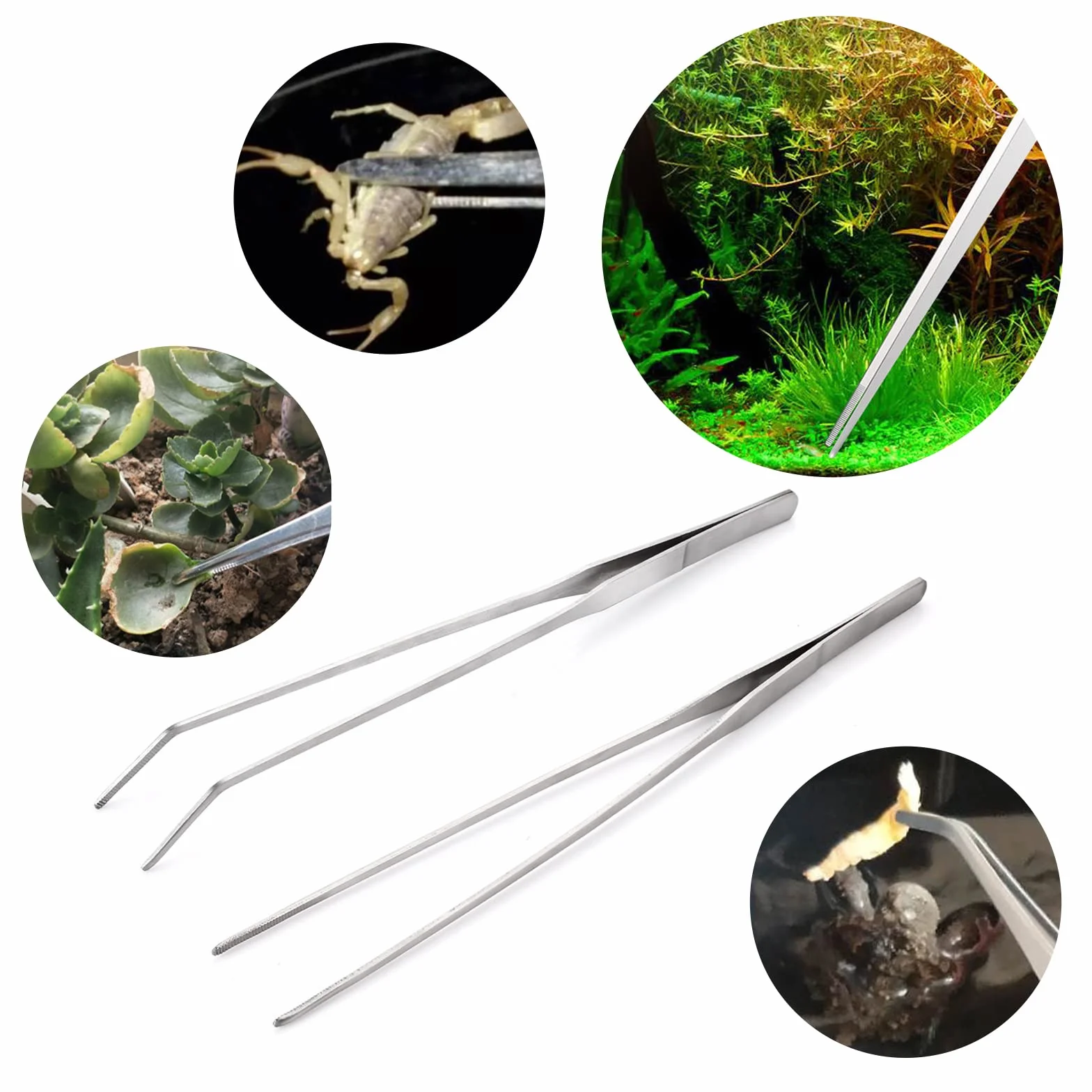 Set di pinzette per acquari in acciaio inossidabile 27cm cobee - 2 pinzette dritte e curve per acquario terrario aquascape