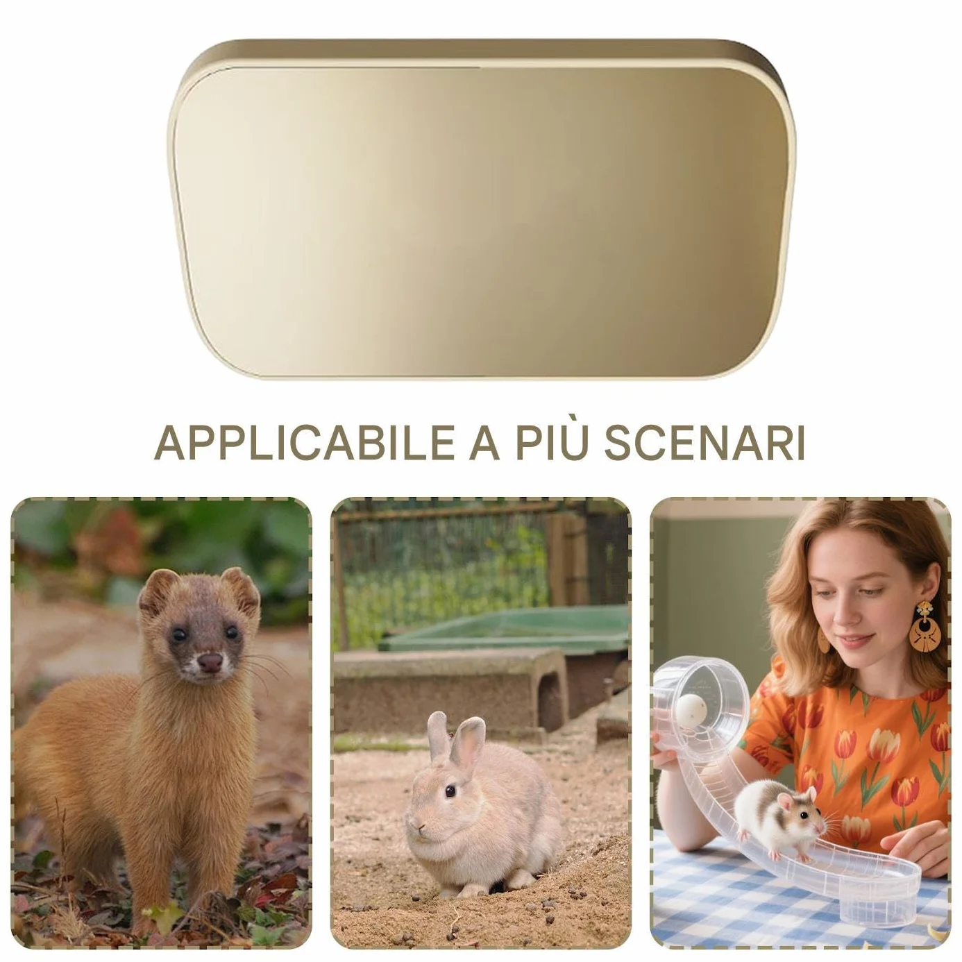 Riscaldatore Gabbia Uccelli, Termostato Riscaldante Per Pappagalli E Uccelli, Accessorio Riscaldante per Pappagalli Conuri Voliere Conigli Criceti Animali Piccoli