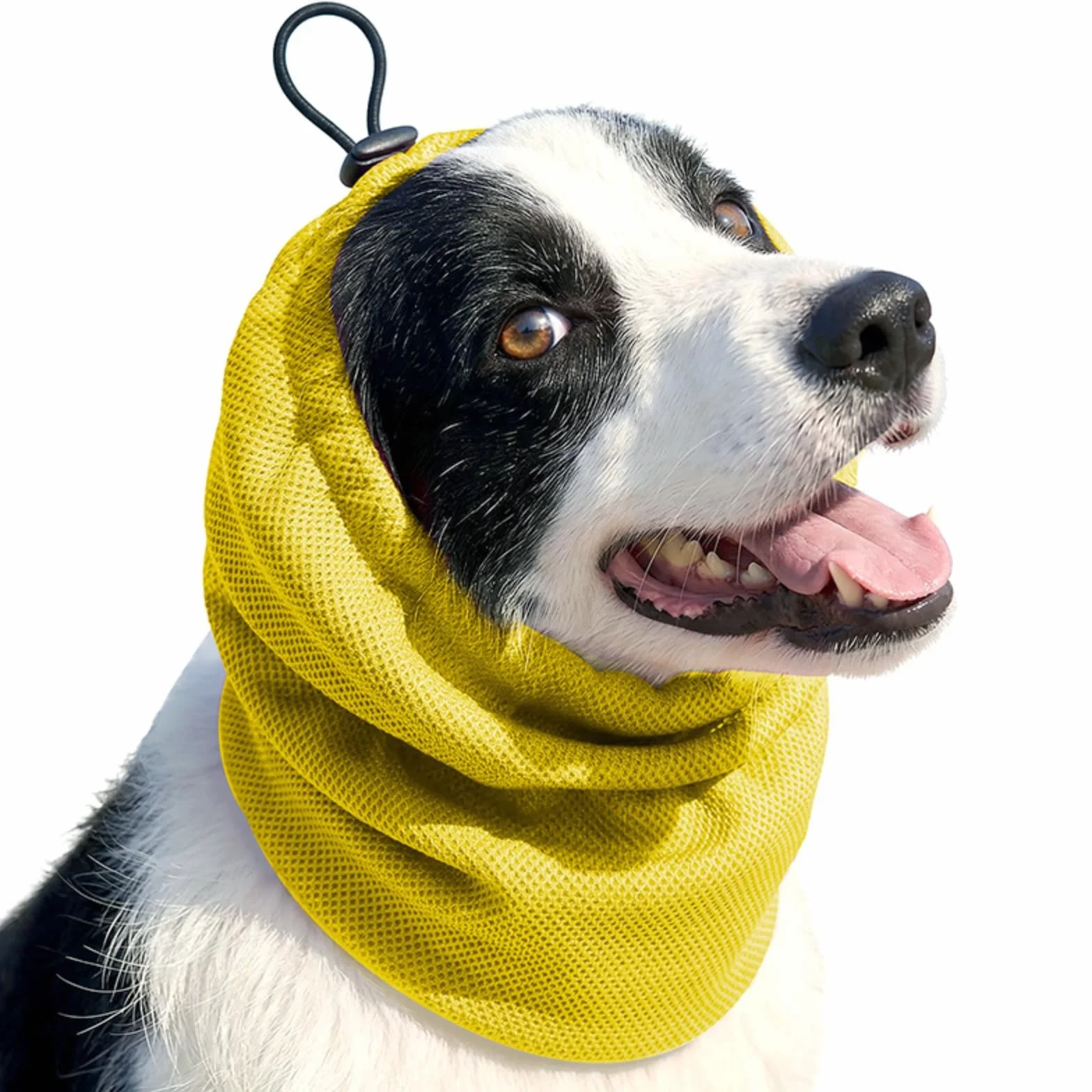 Paraorecchie rinfrescanti per cani - Copricapo regolabile e confortevole |per cani, fascia per la testa, per cuccioli di piccola, media e grande taglia, per interni ed esterni, casa, estate, spiaggia