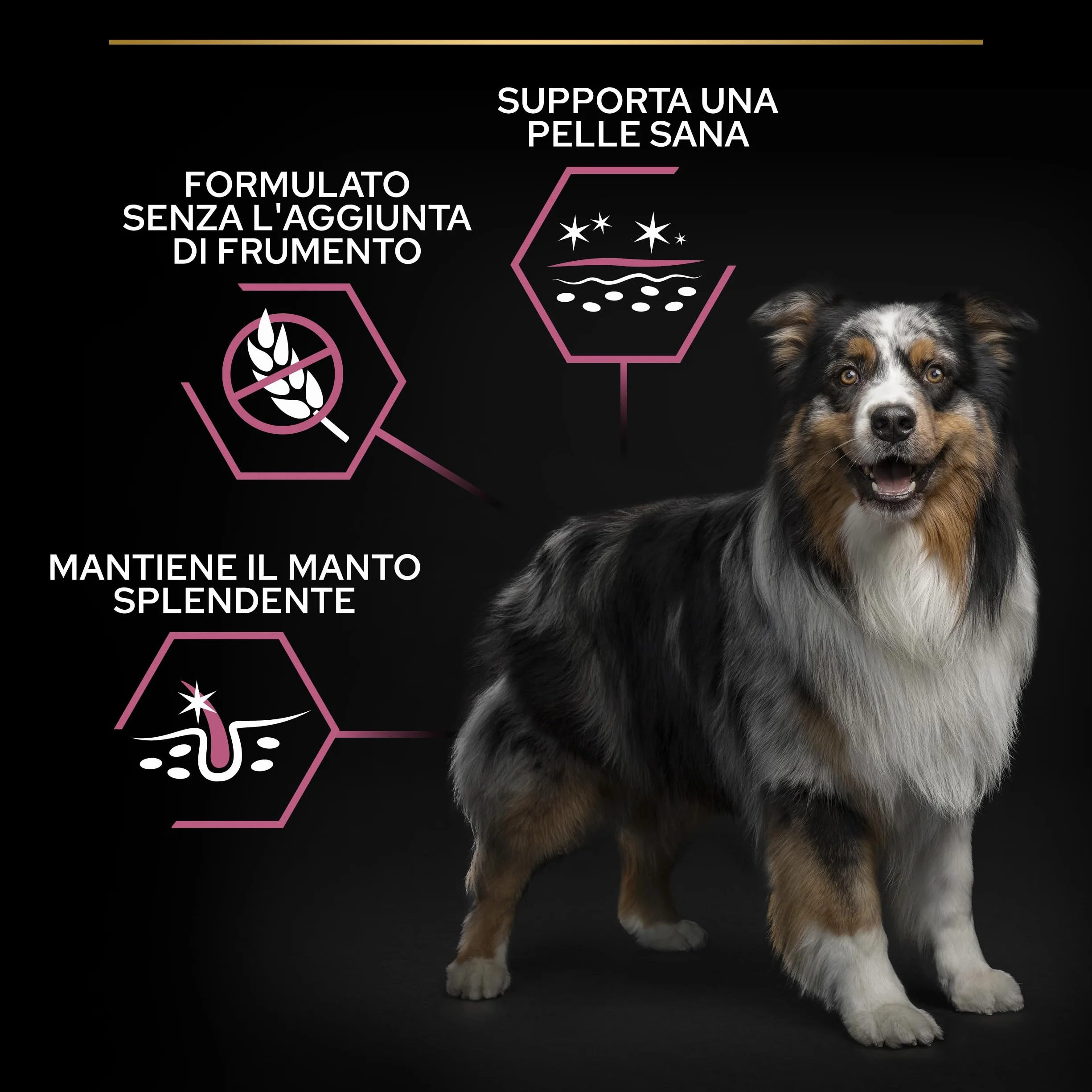 Purina Pro Plan Optiderma Medium Adult Crocchette Cane Salmone 14kg