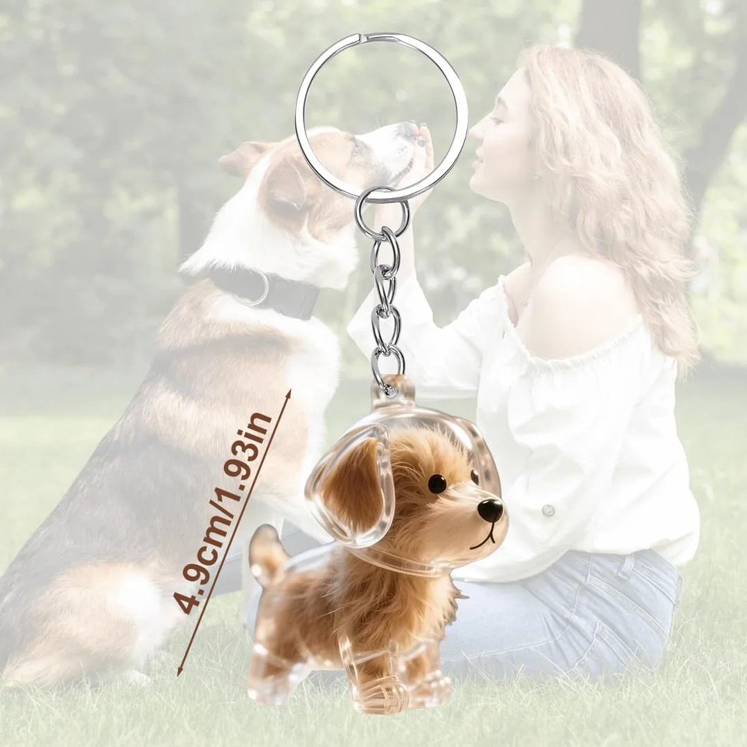 1 pezzo Portachiavi per collezionisti di peli di cane, ciondolo a capsula ricordo della pelliccia, regalo commemorativo, ciondolo commemorativo per peli di cane