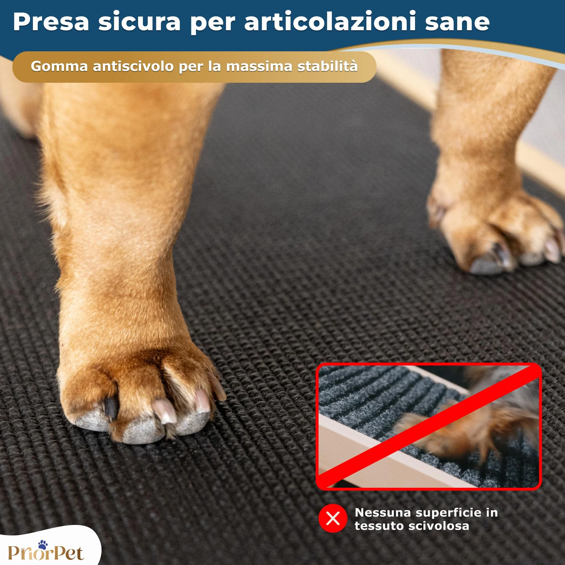 Rampa per Cani in Legno di Betulla Regolabile 18-53 cm Pieghevole per Letto e Divano