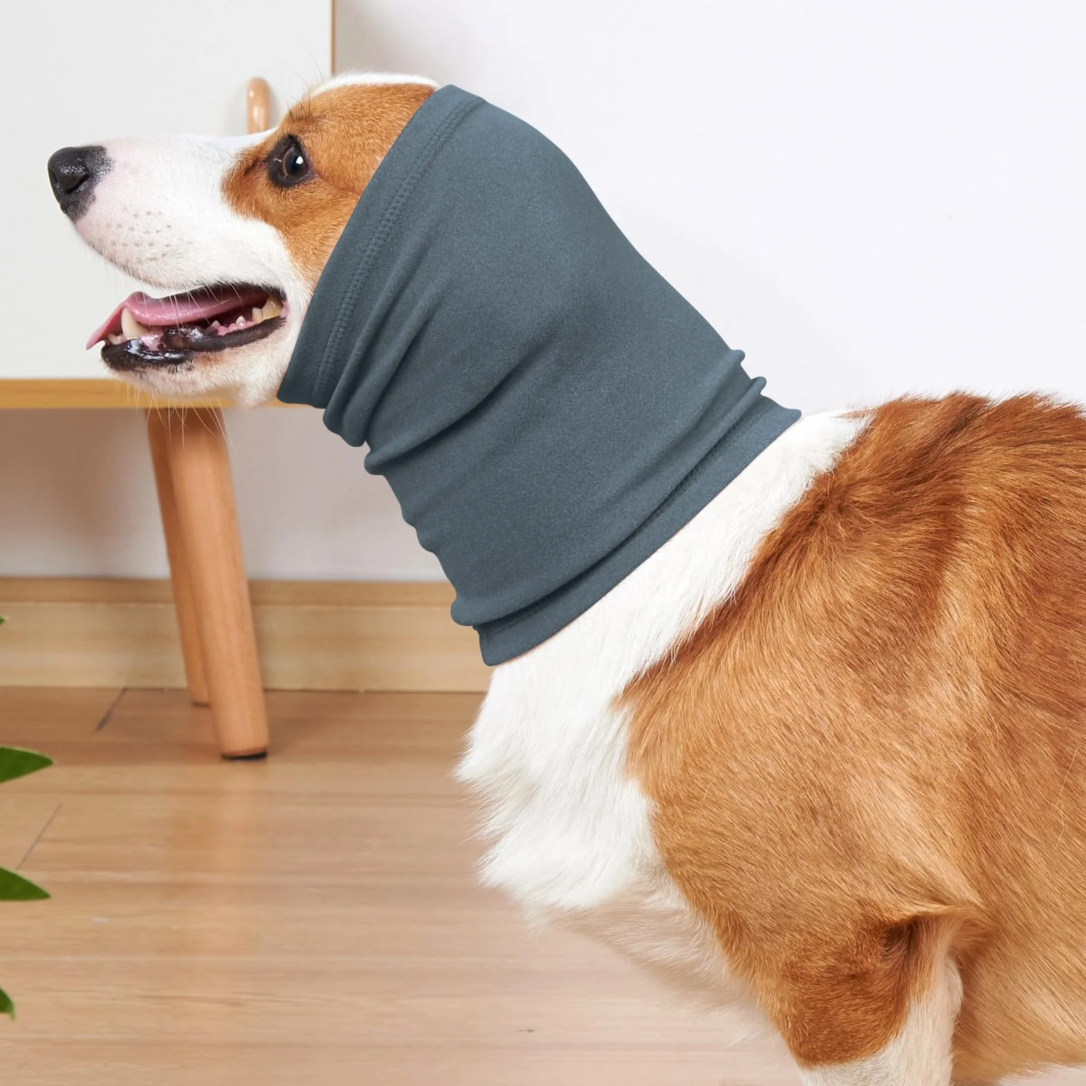 Copriorecchie calmanti per cani protezione dal rumore ansia fuochi d'artificio temporali toelettatura blu L