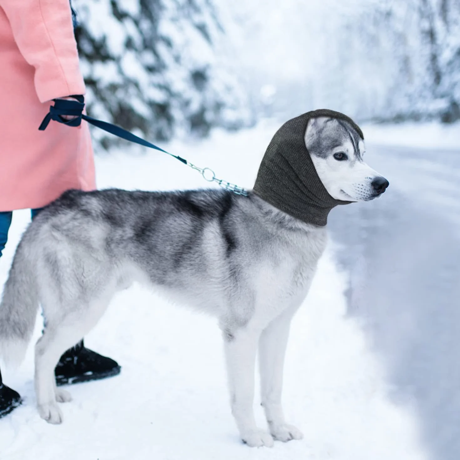 Scudi per orecchie per cani lenitivo copertura testa antiansia riduzione rumore lavabile S blu grigio