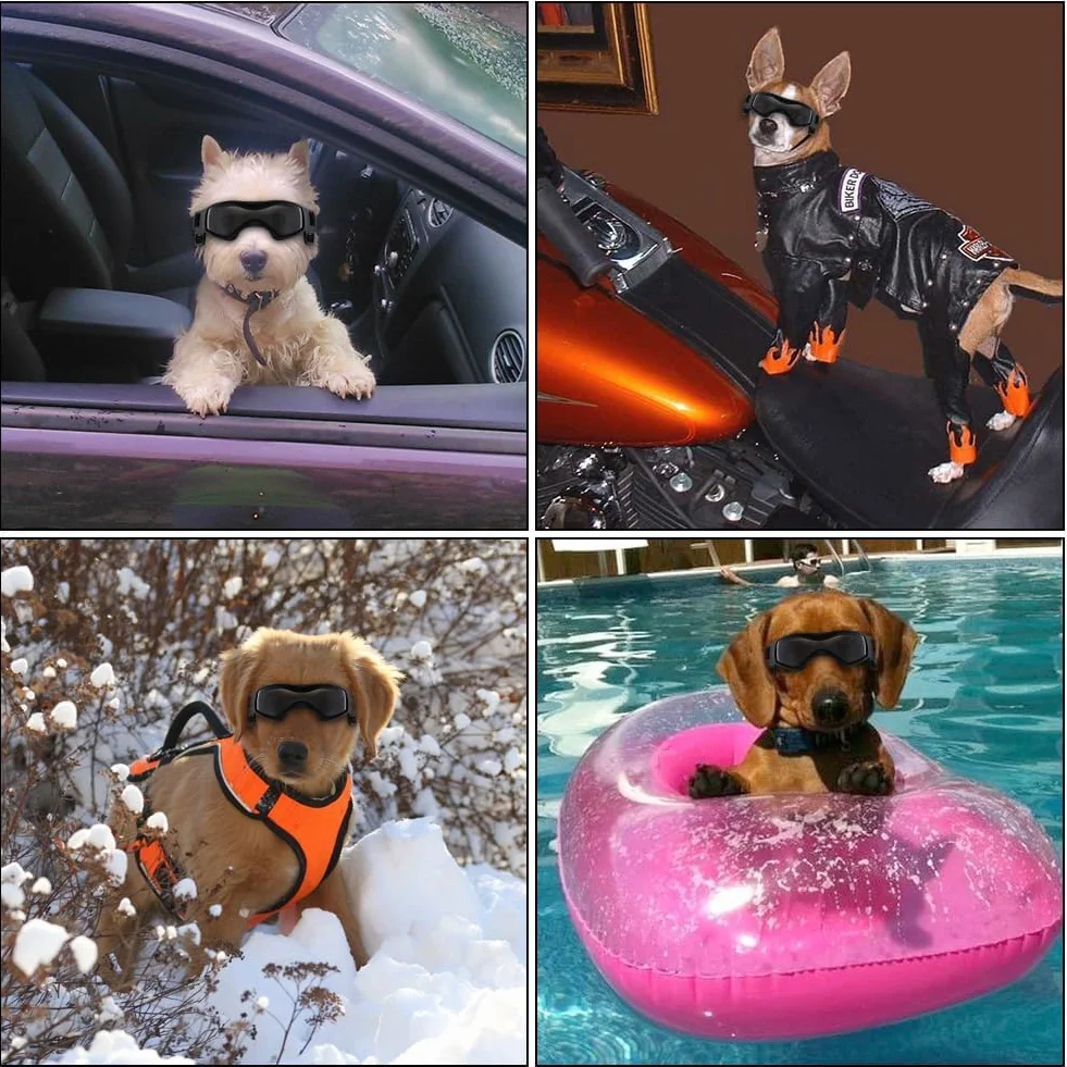 Occhiali per Animali Domestici, Occhiali da Sole per Cani di Piccola Taglia, Antivento Occhiali per Cani con Cinturino Regolabile, Anti UV, Impermeabili, per Cani di Taglia Piccola/Media (S)
