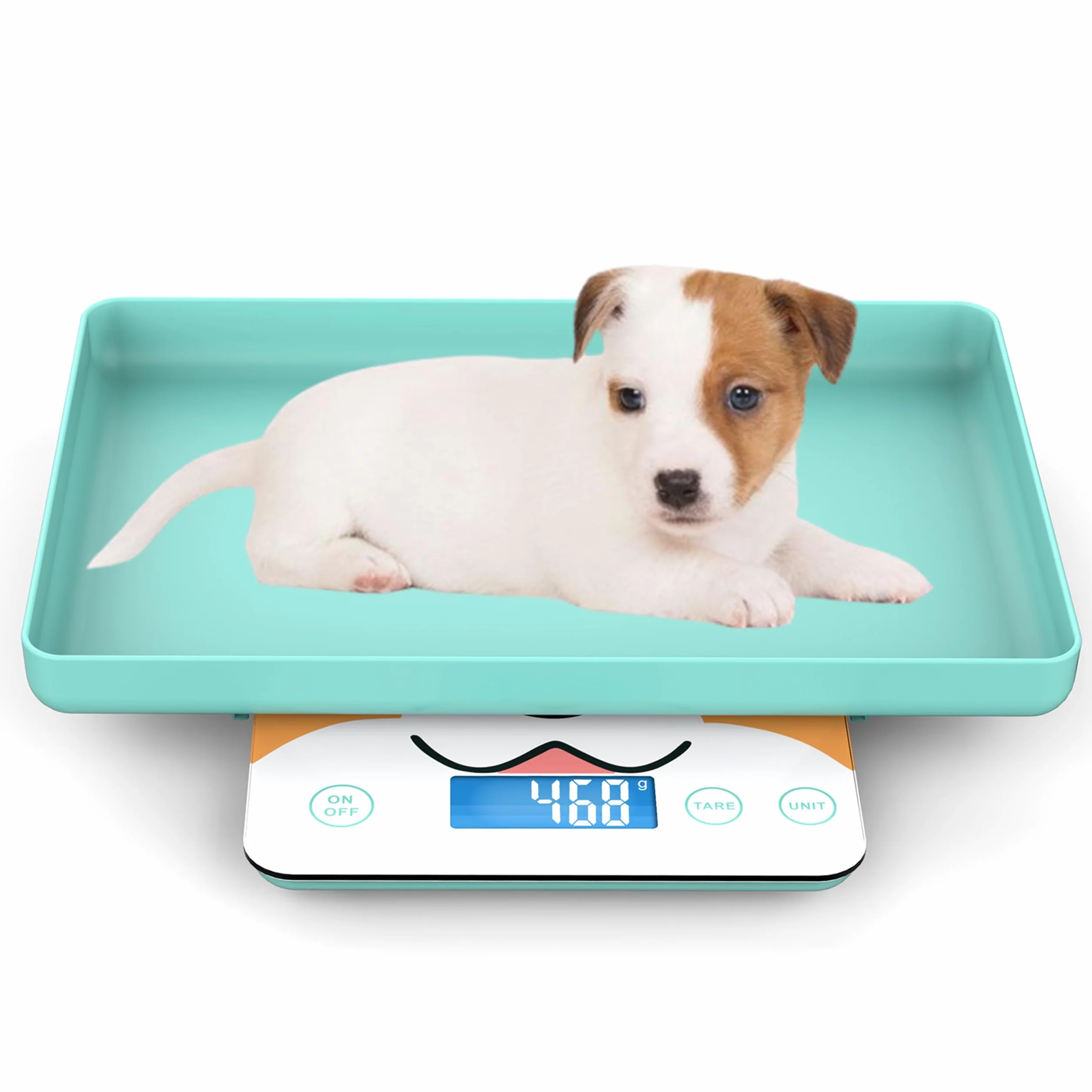 Digitale Mini-Haustierwaage für Neugeborene und Kleintiere, Präzisions-Grammwaage zum Wiegen, Genauigkeit von 0,03 oz, Kapazität von 33 lbs, fünf Einheiten umschaltbar, blau