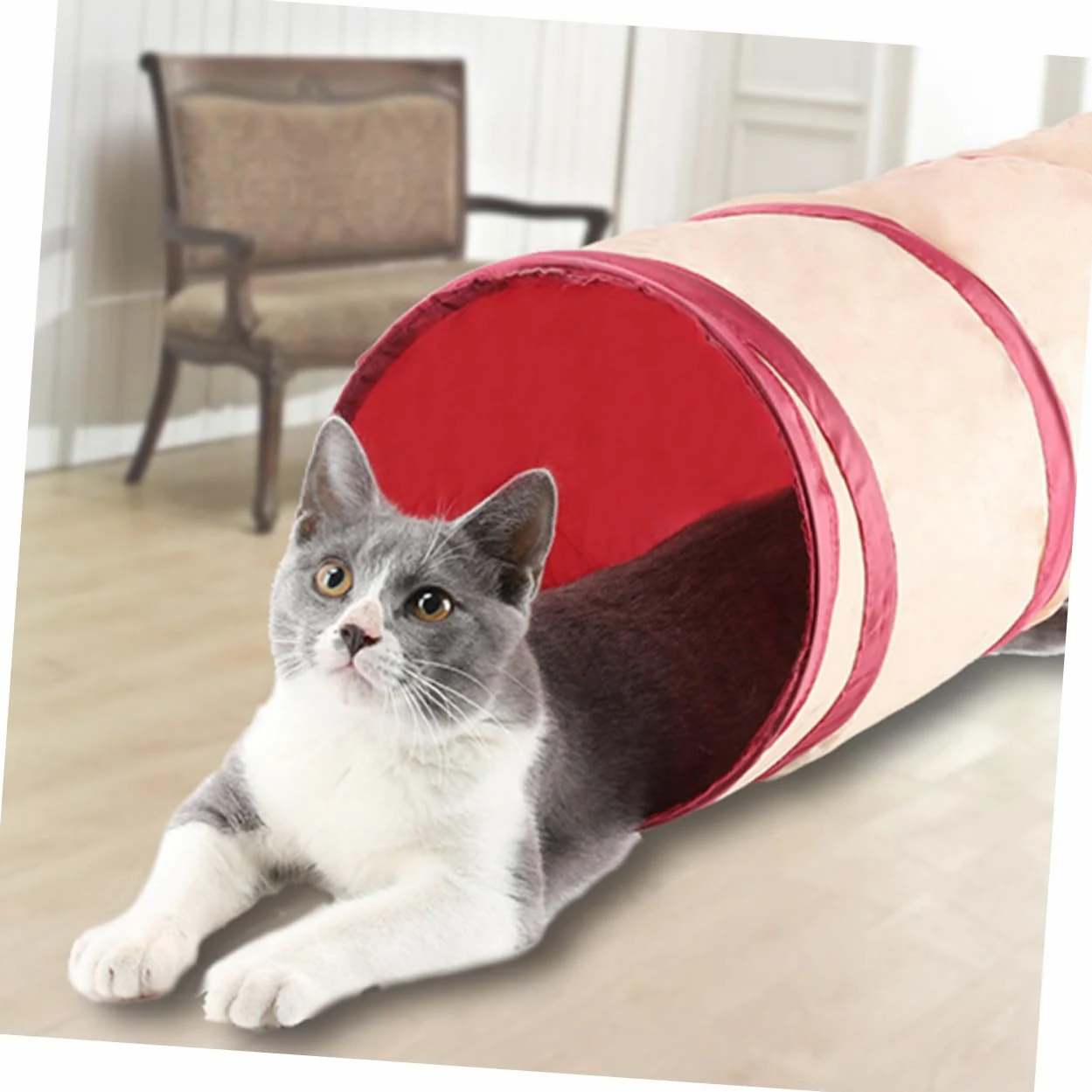 Didiseaon per Gatti Tunnel per Animali Domestici Pieghevole per Riporre Gli Oggetti Ideale per Gatti Conigli Furetti E Cuccioli.