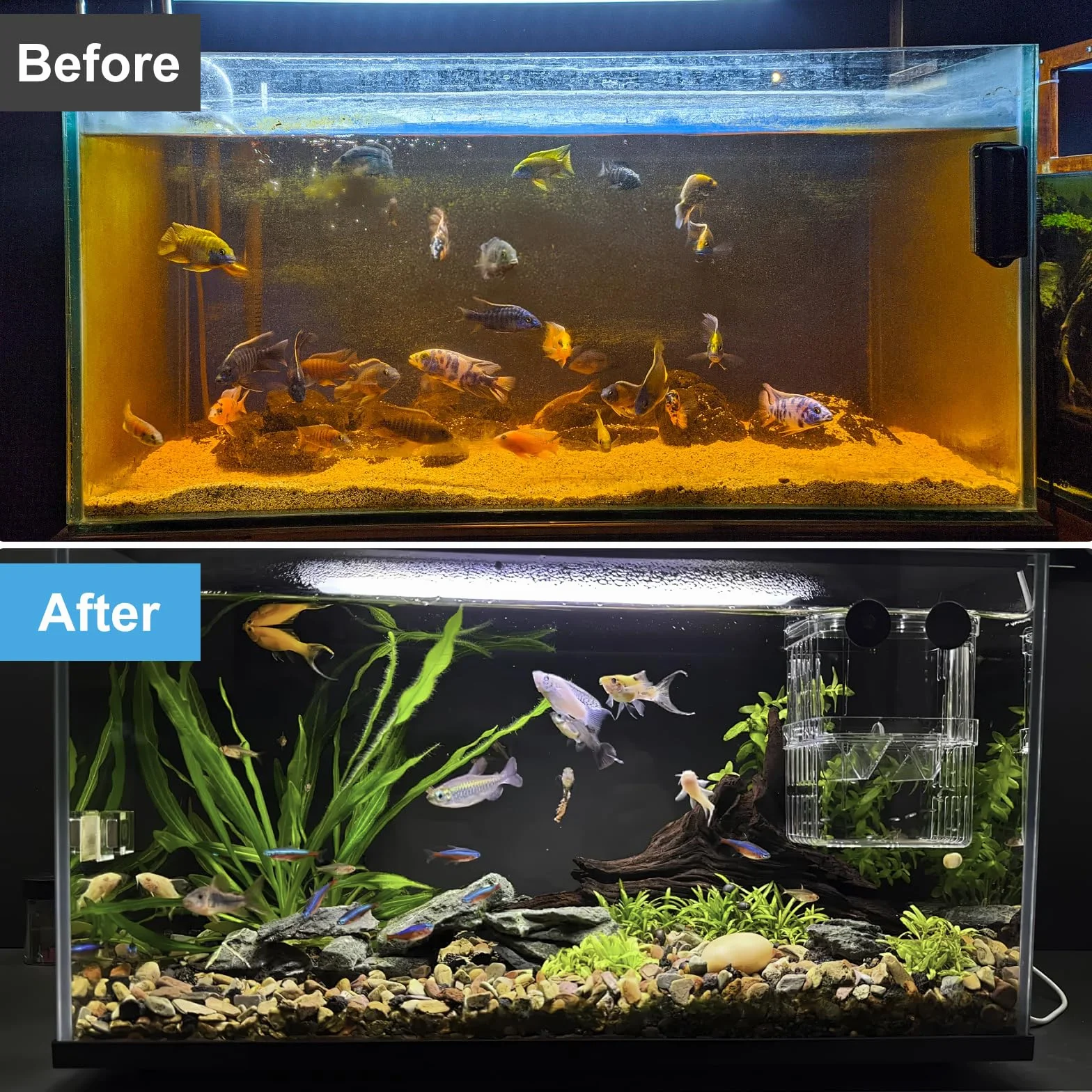 2 M Spugna filtrante per Acquario Tampone Filtro Spugna Tamponi Filtranti per Acquario Addensata Schiuma Filtrante Filtro Spugna Schiuma Acquario Filtro Spugna