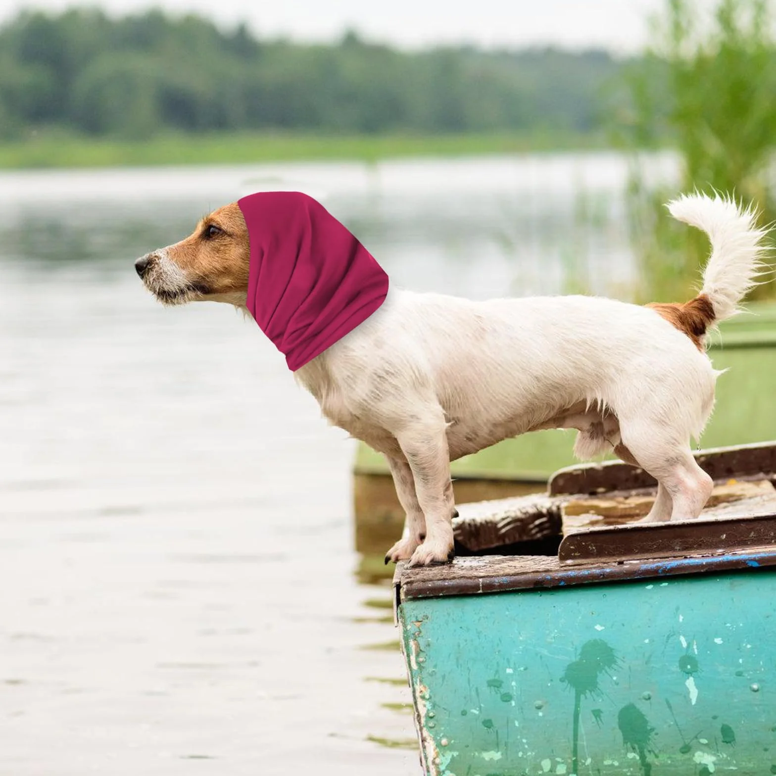 Scaldacollo e Orecchie per Cani Cappuccio Anti-Ansia Paraorecchie per Toelettatura Bagni Felpa L Rosso